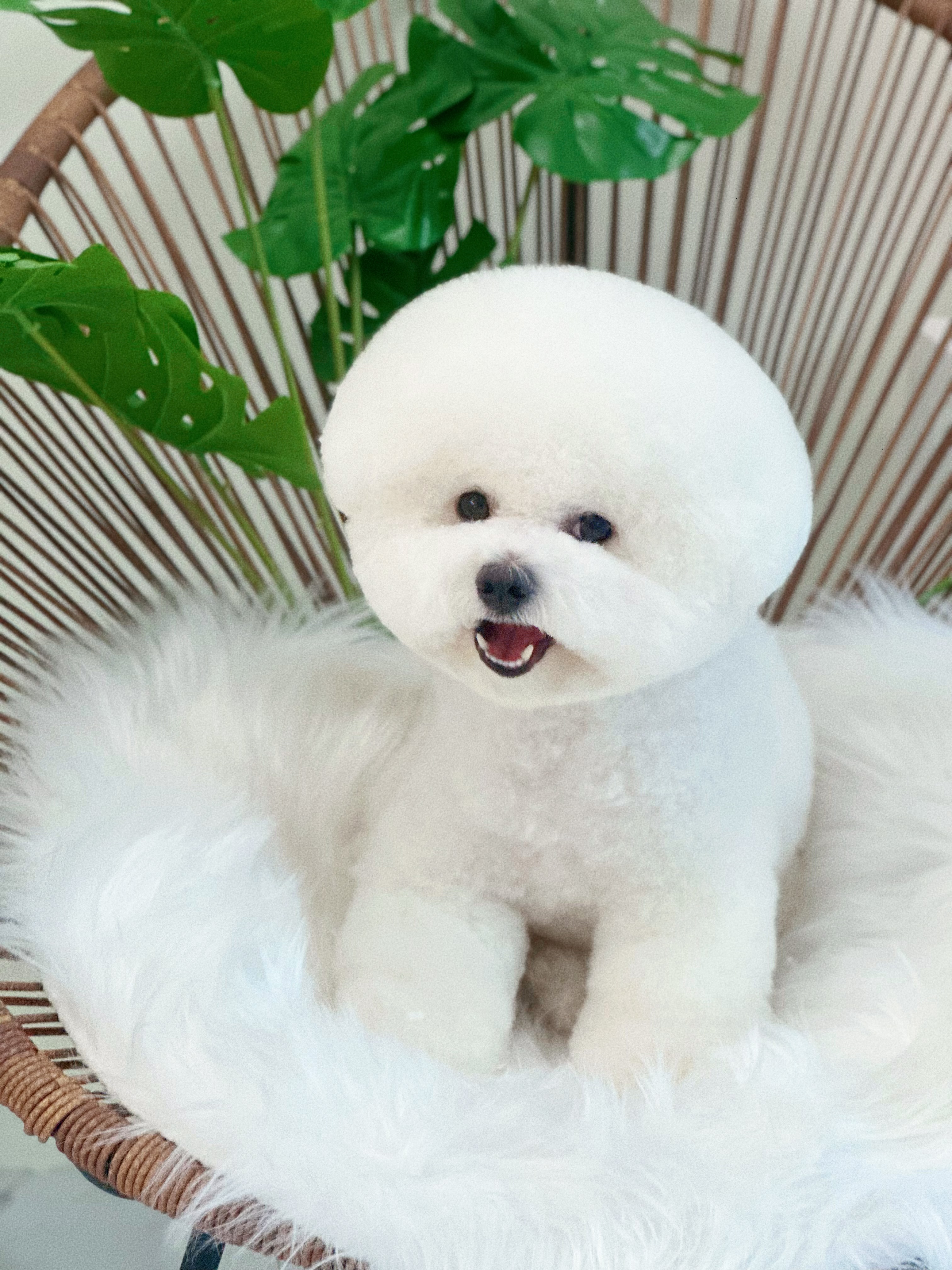 그루미재이 대표 이미지