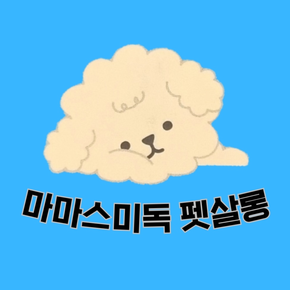 마마스미독 펫살롱 대전점