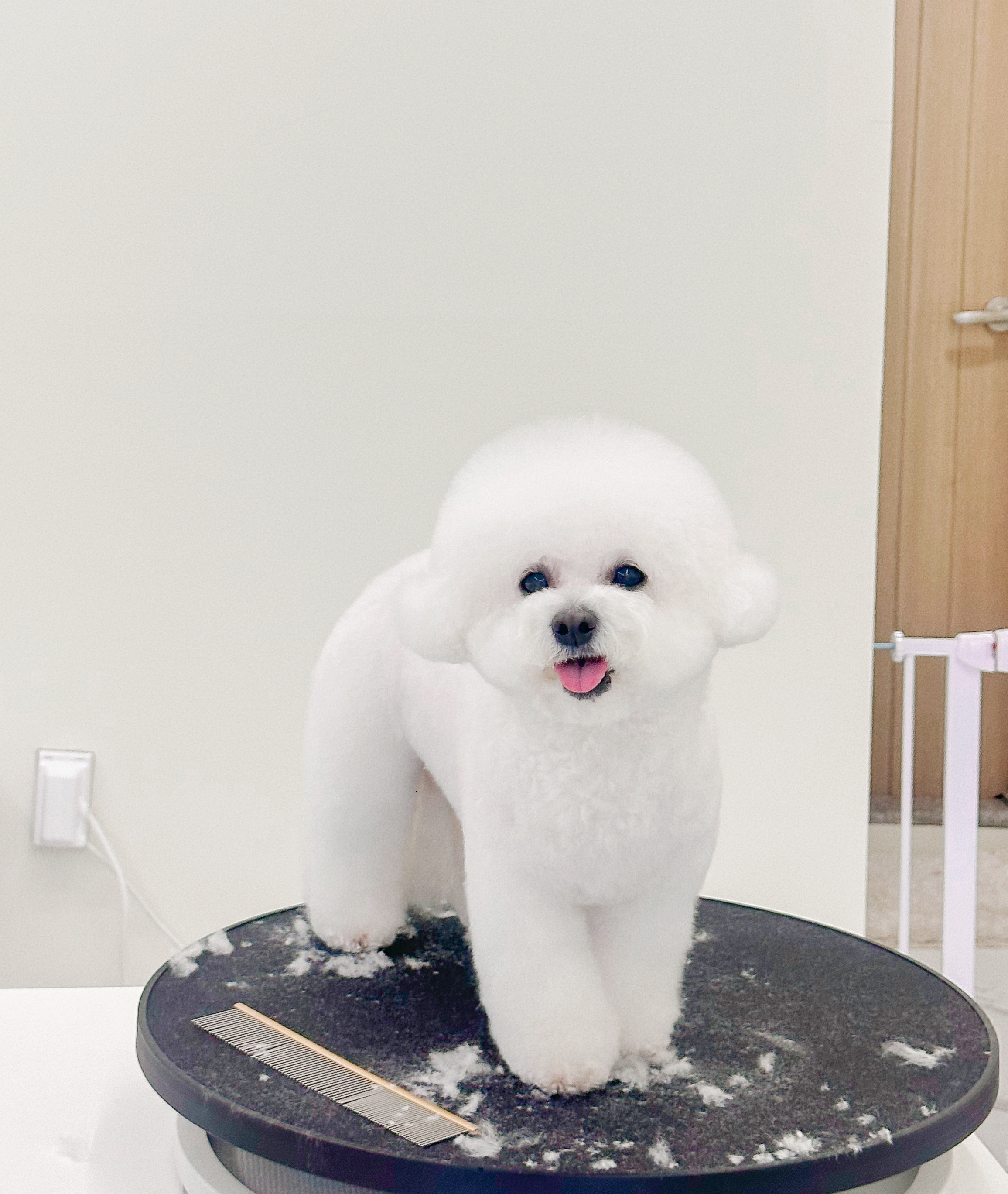 그루미재이 대표 이미지
