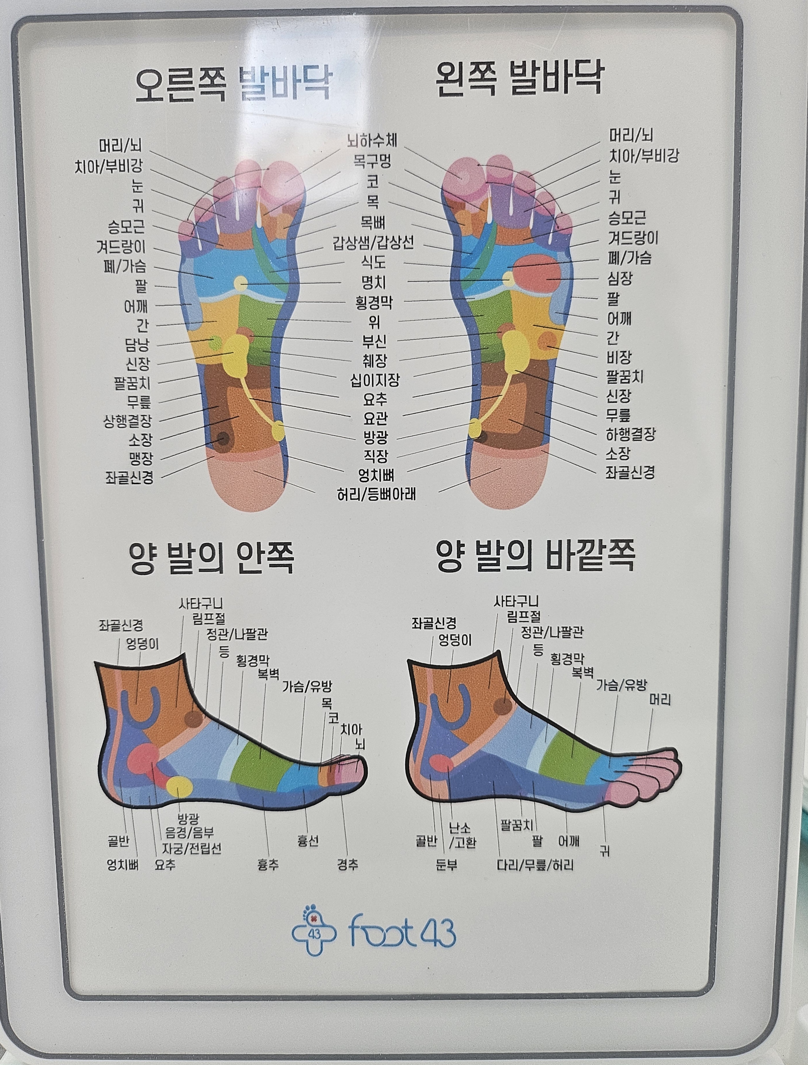 풋43 하단점