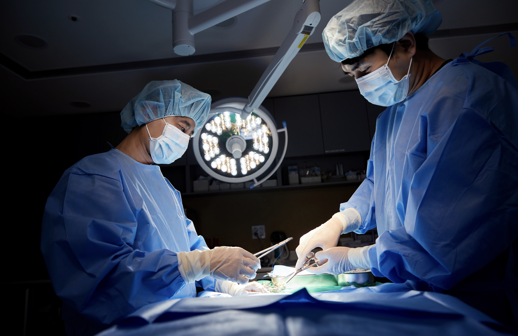 SD동물의료센터 서울점 대표 이미지