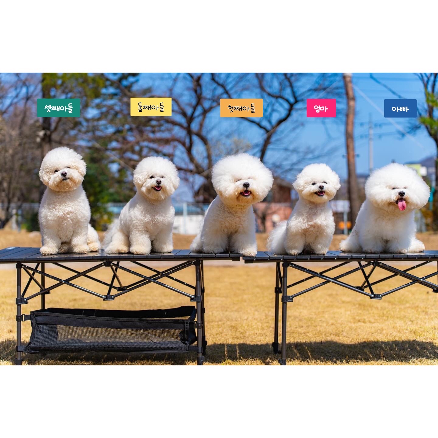 디그르르 3