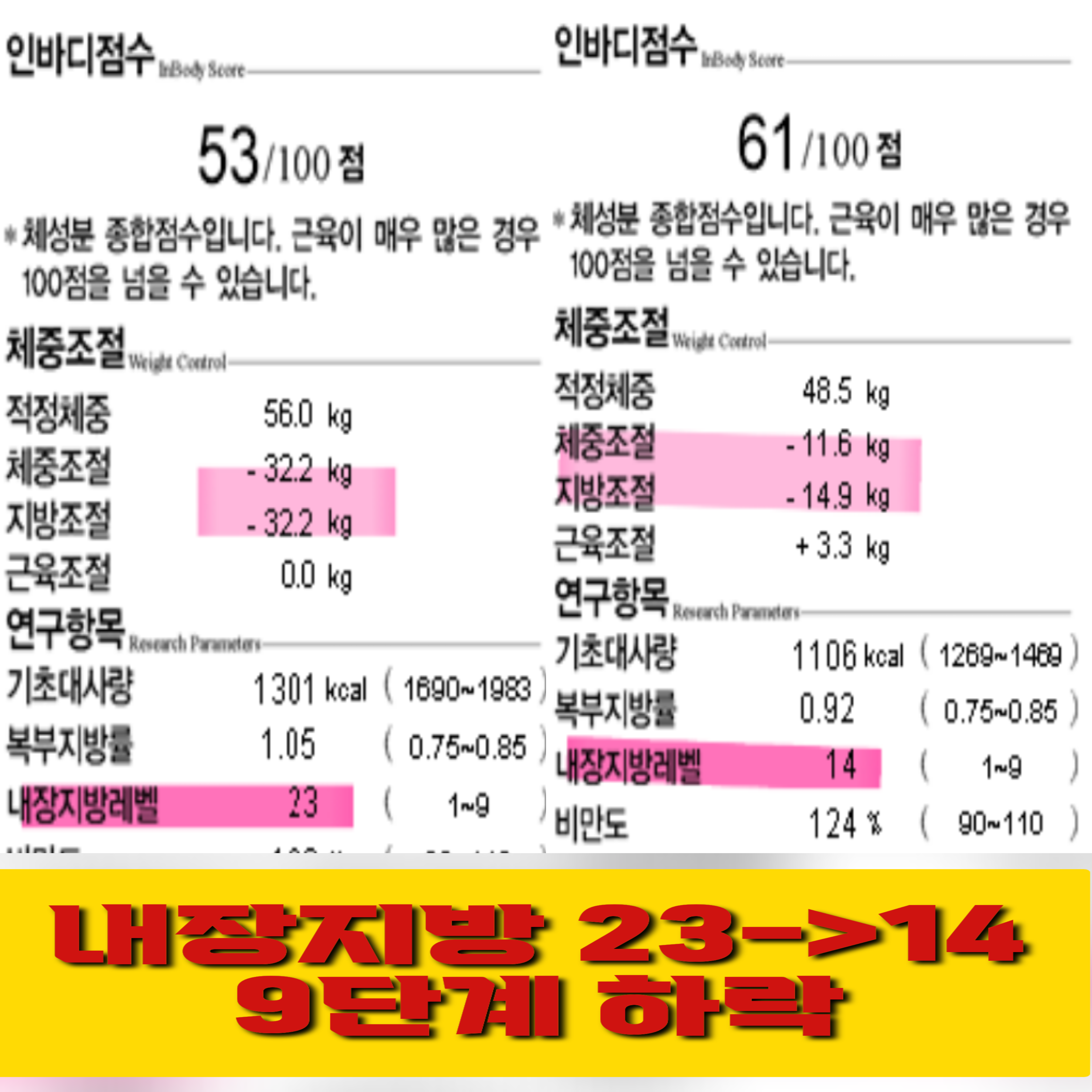 보람핏 점핑운동&온열체온다이어트