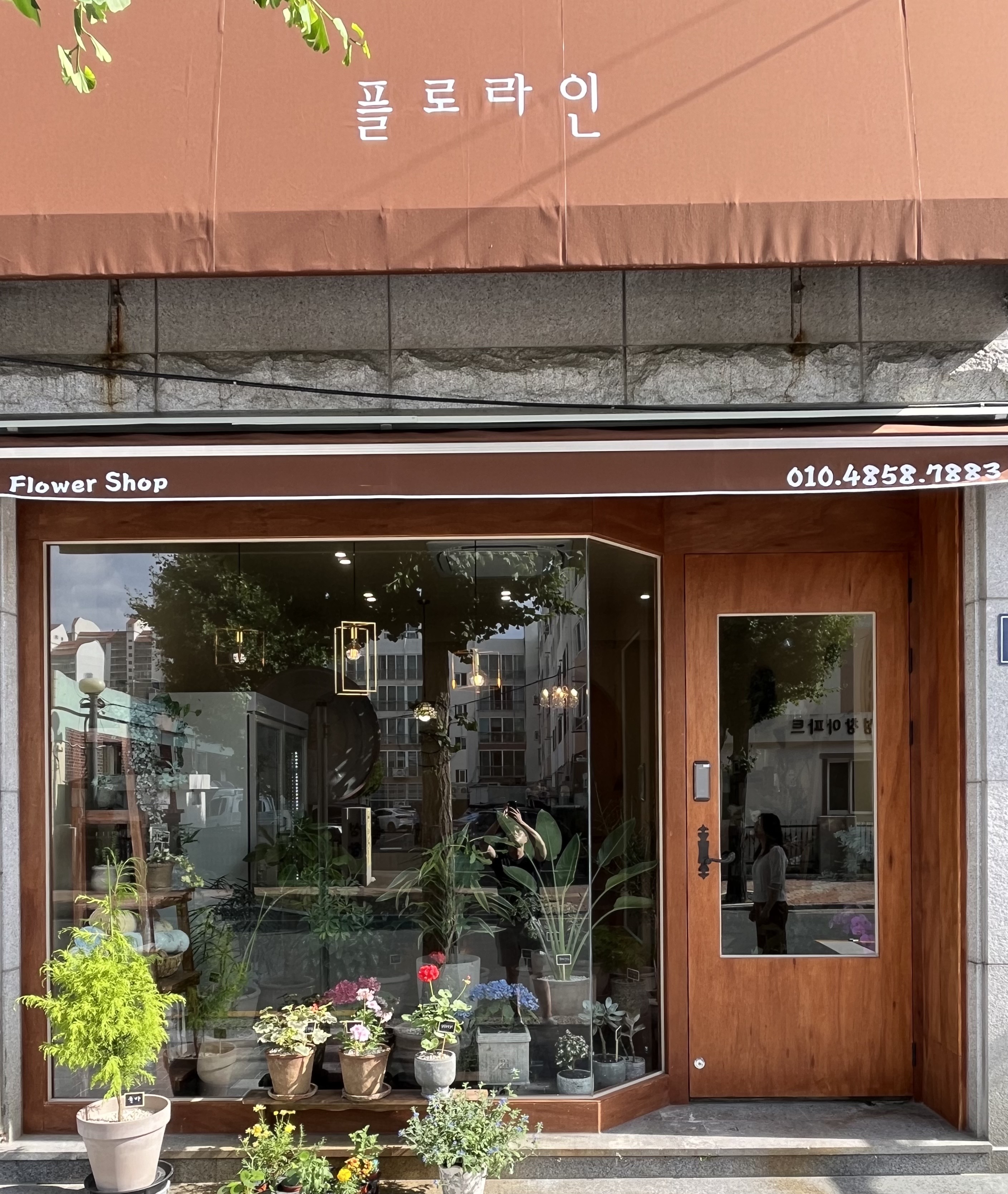 플로라인
