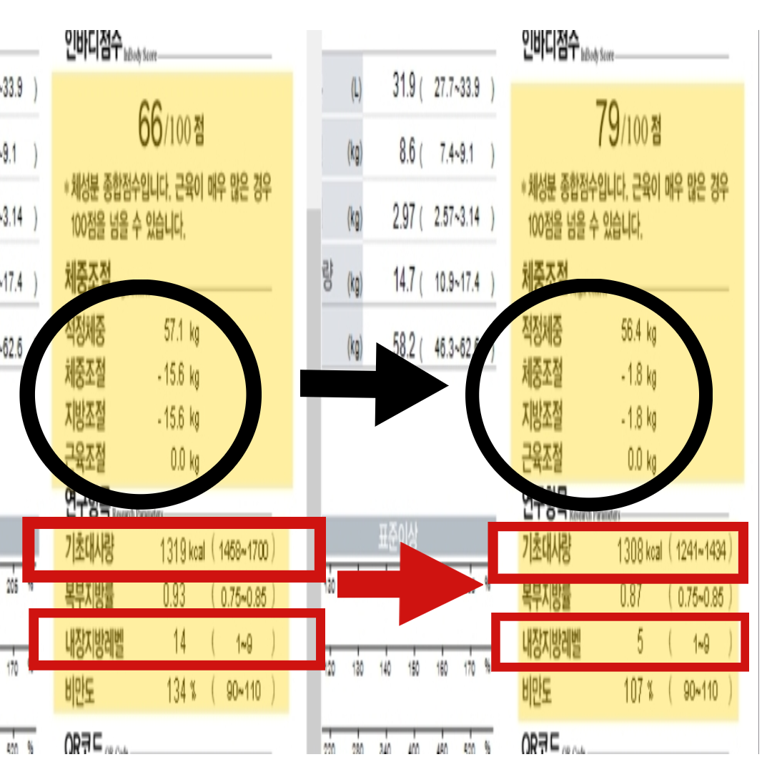 보람핏 점핑운동&온열체온다이어트