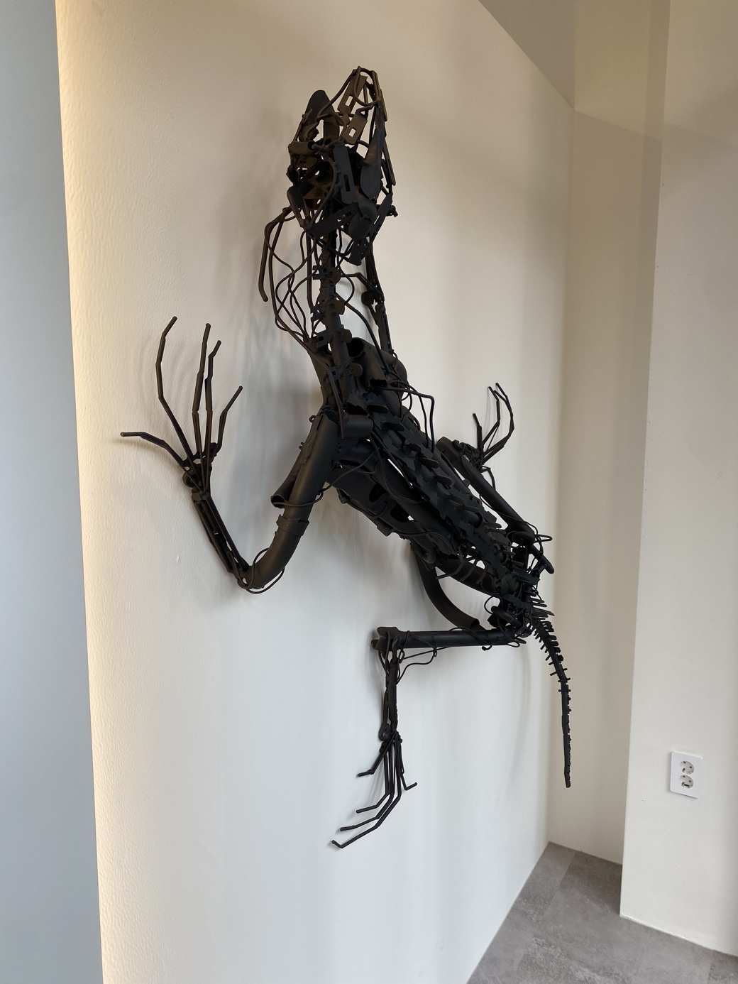 파충류샵 흑야 대표 이미지