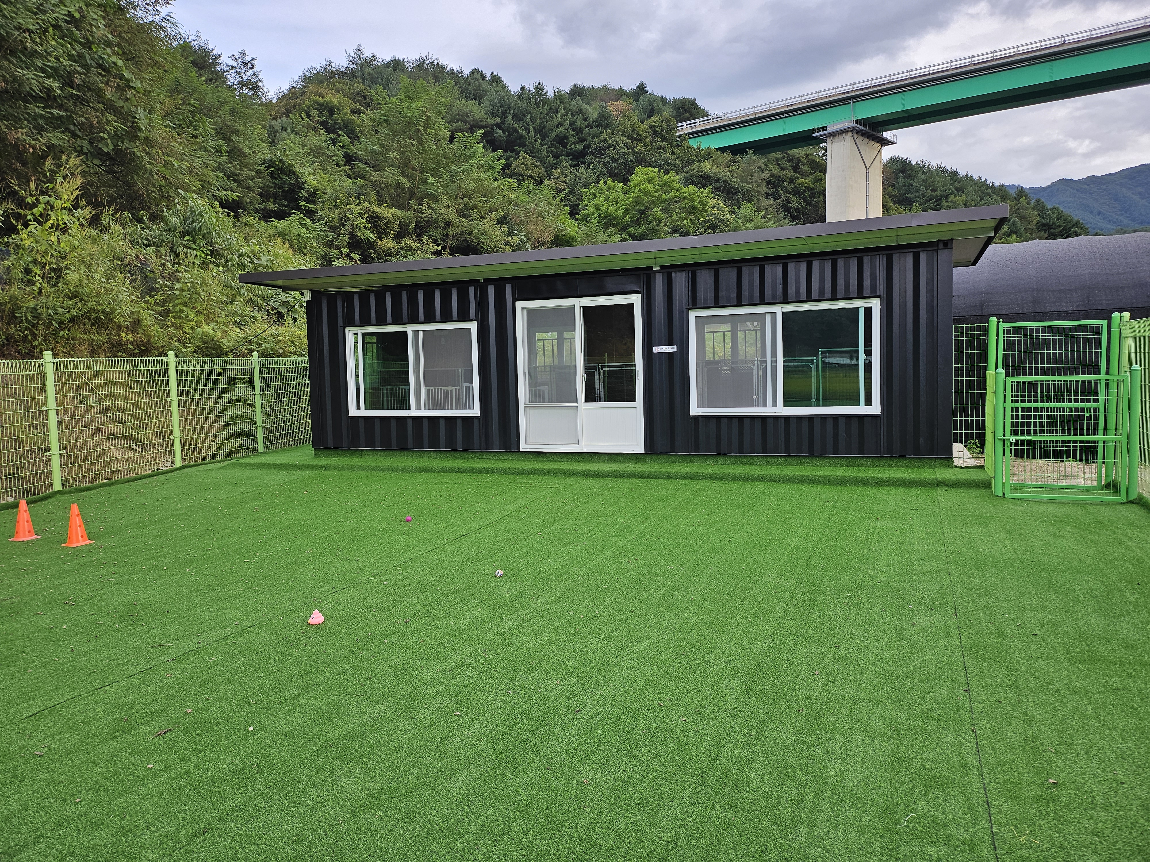 엘림독 대표 이미지