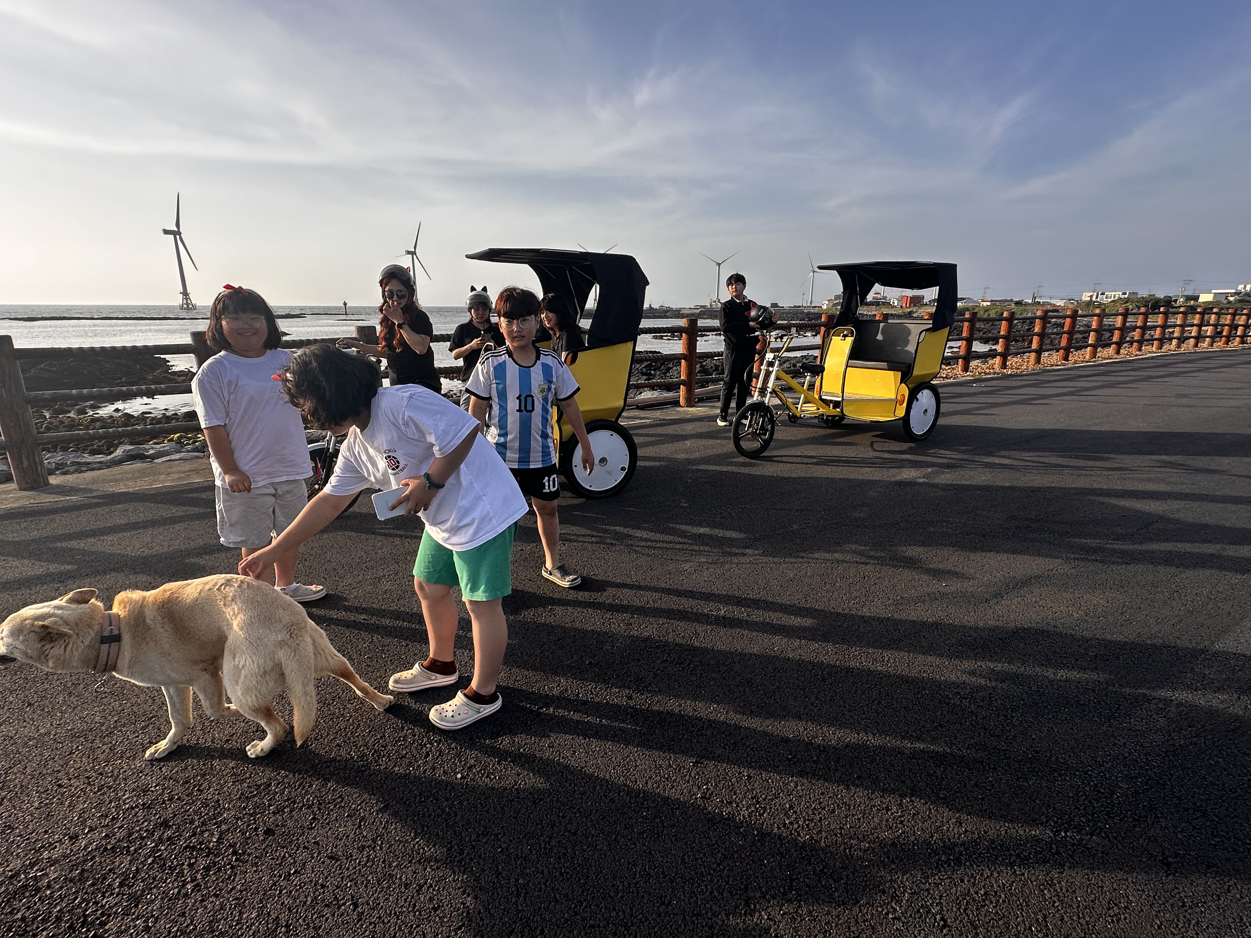 제주담아 대표 이미지
