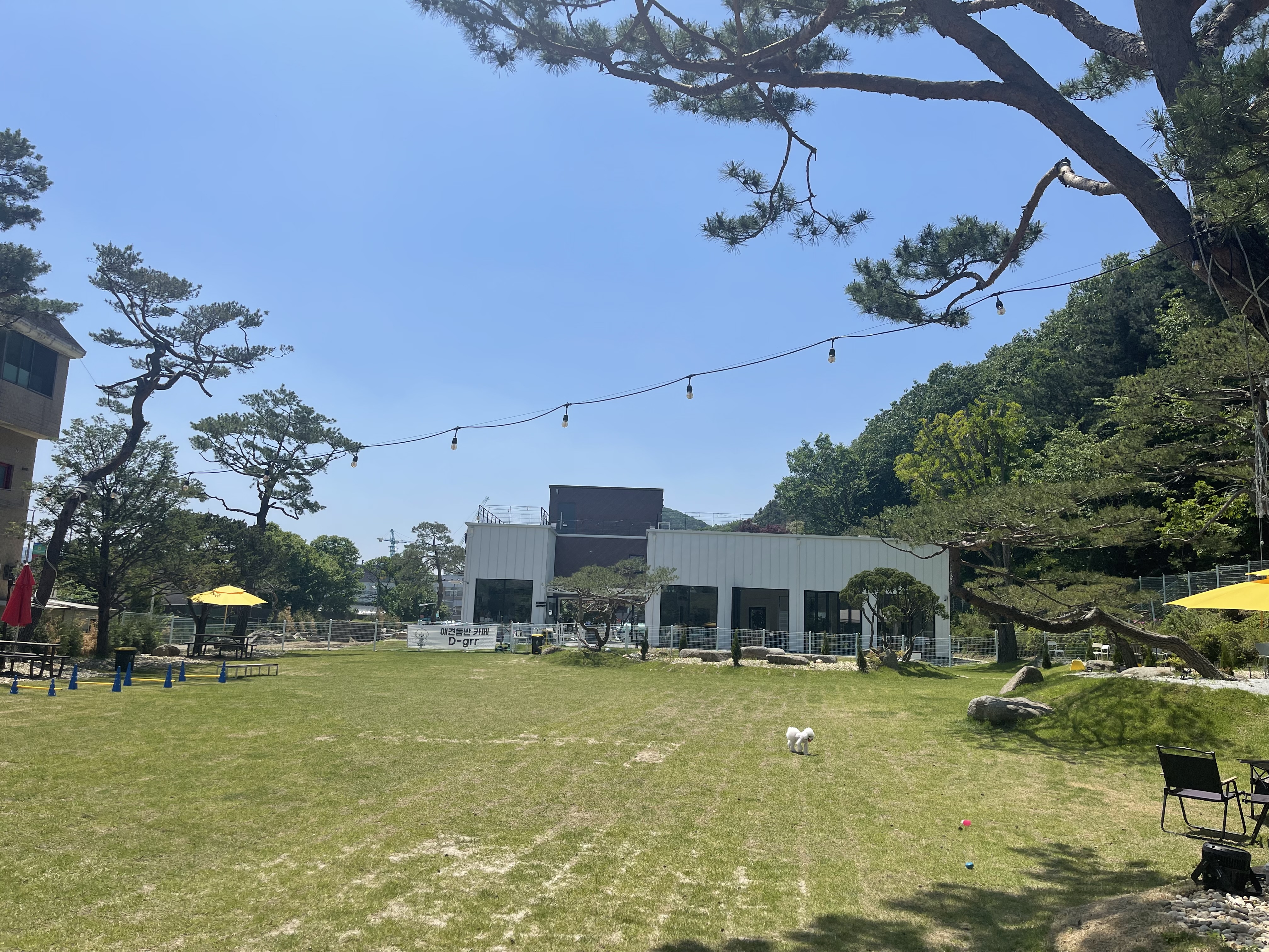 디그르르 4