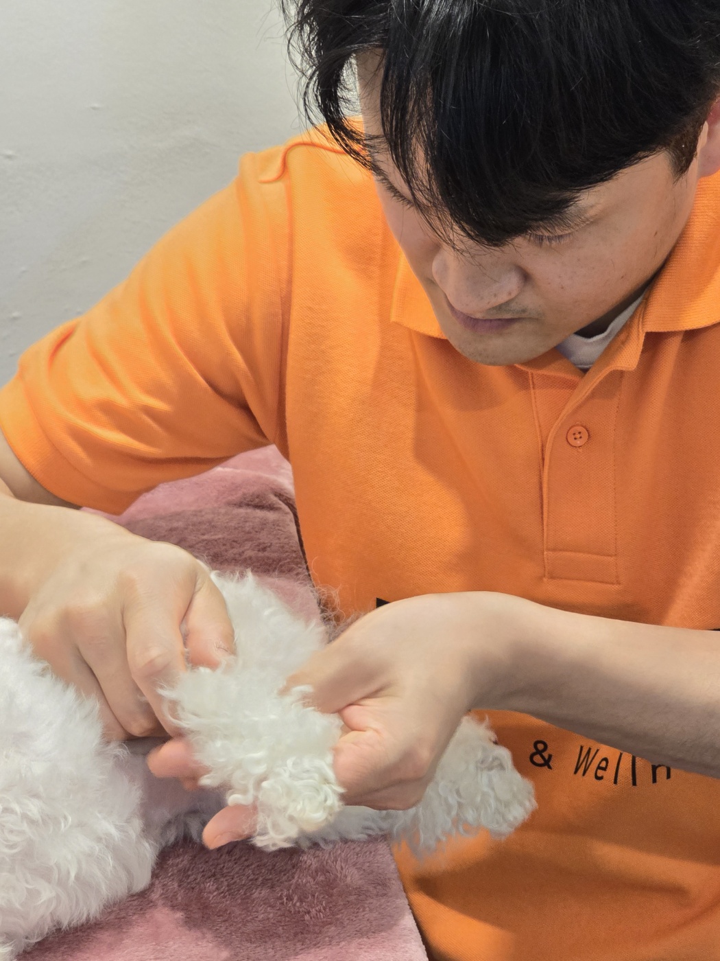 업독 대표 이미지