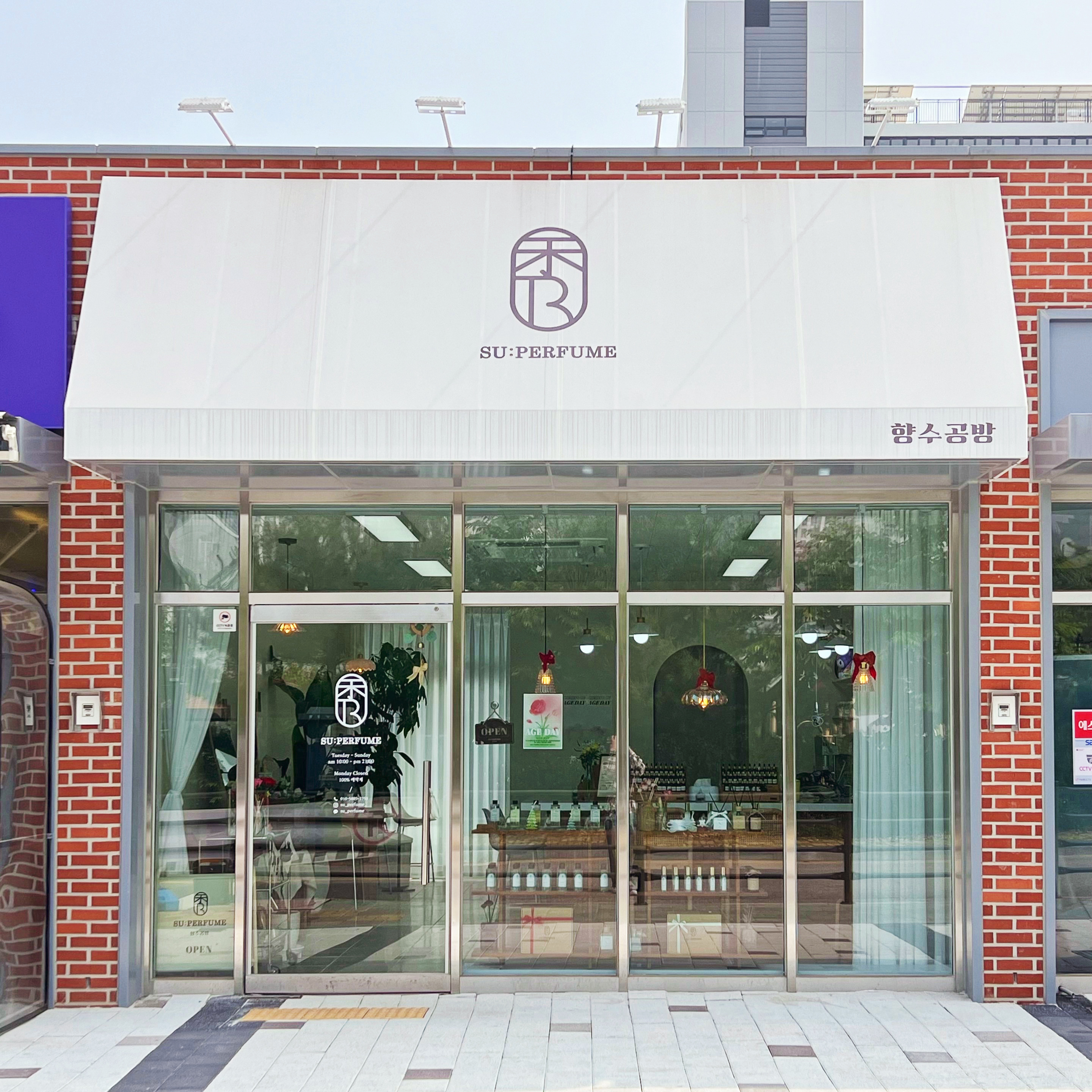 수 향수