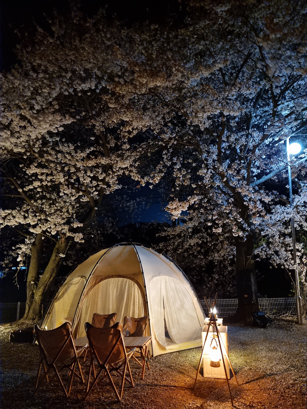 캠핑장 사진