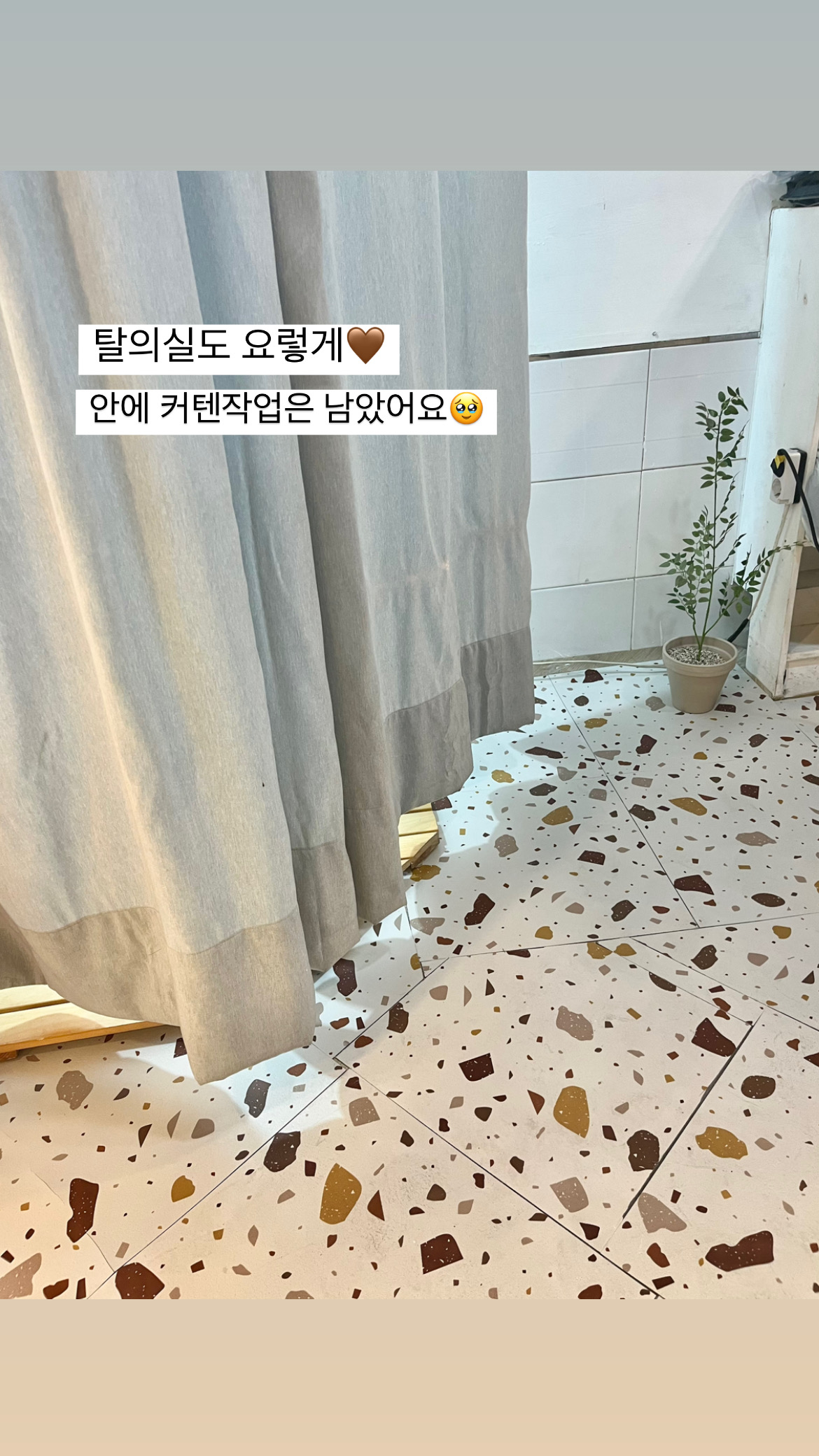 앤무드