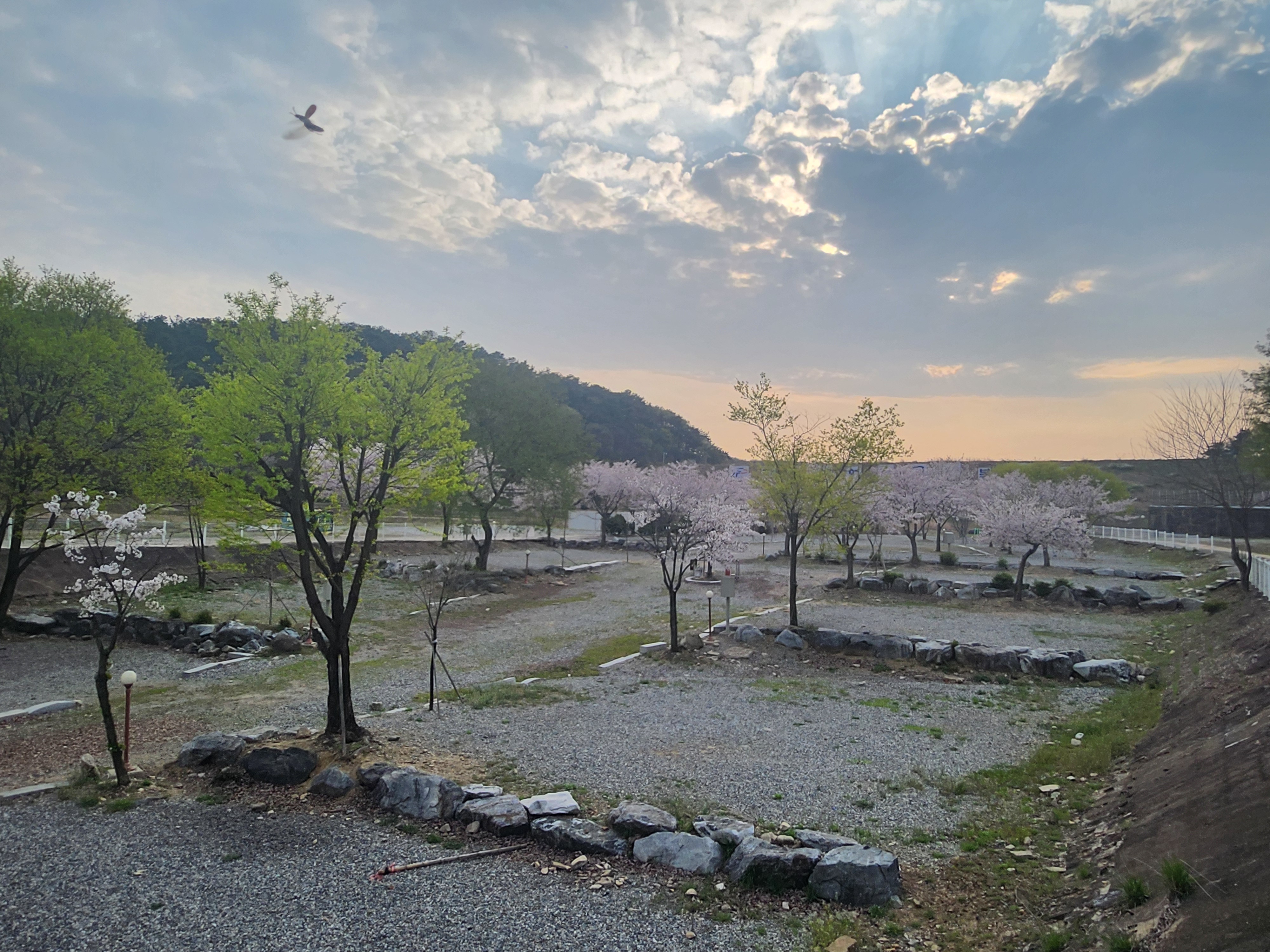 열린캠핑장