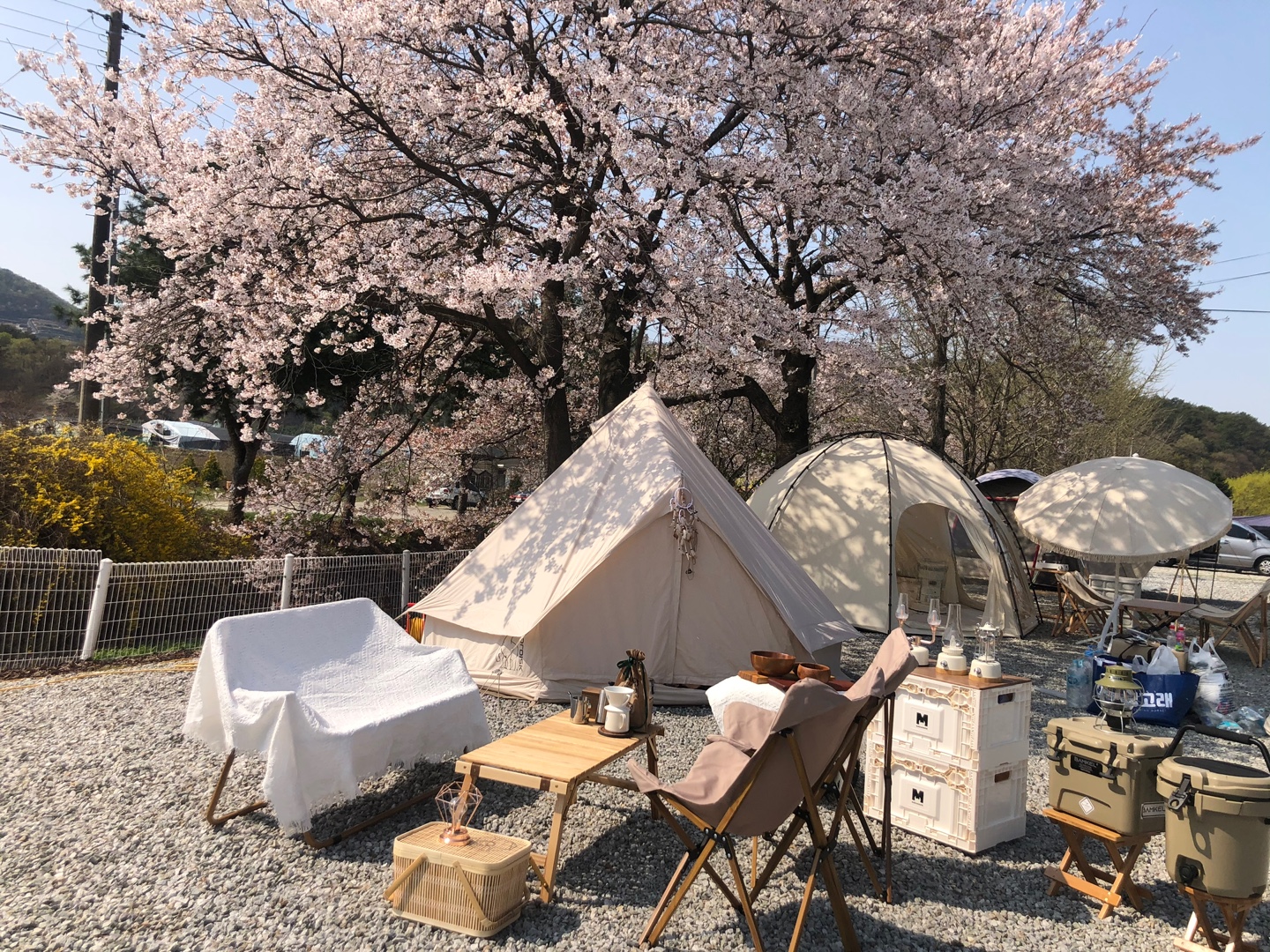 캠핑장 사진