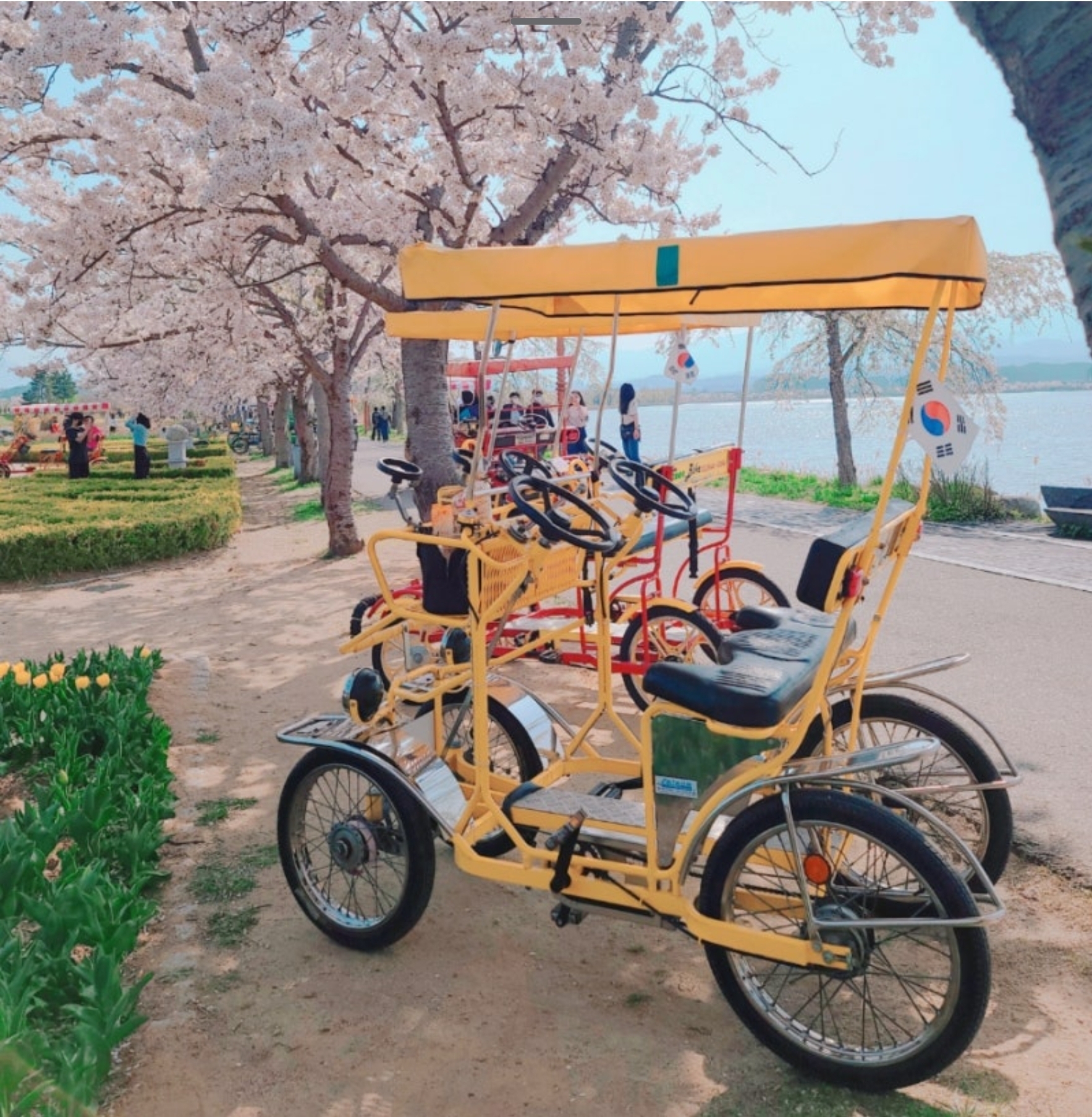 그린바이크