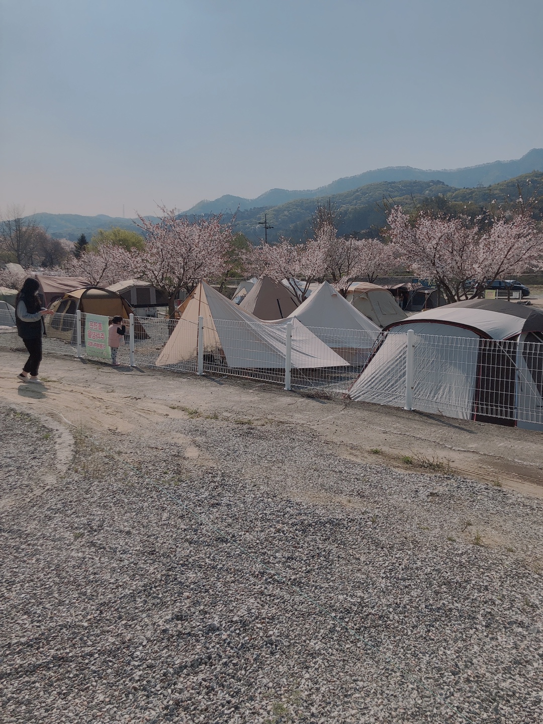 캠핑장 사진