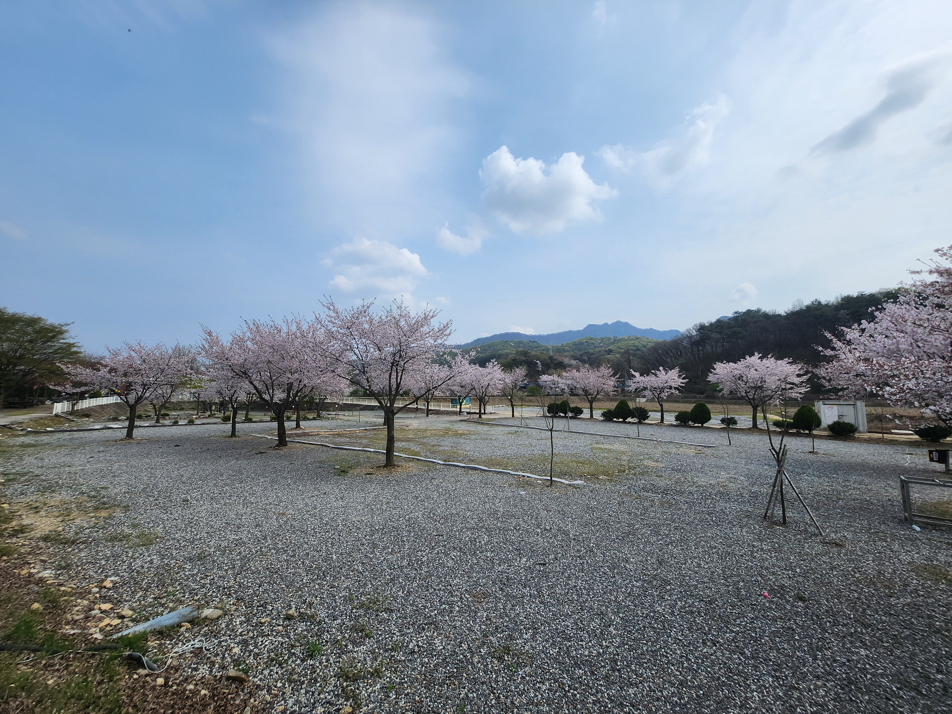 캠핑장 사진