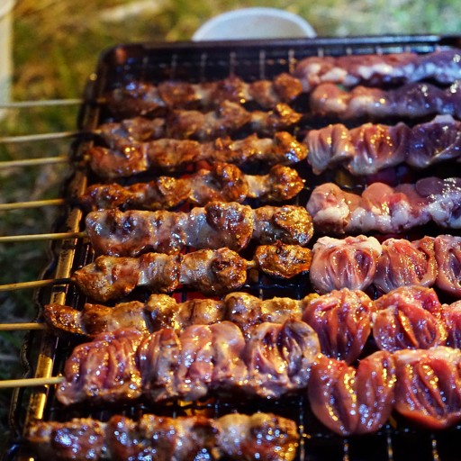 꼬치피었네