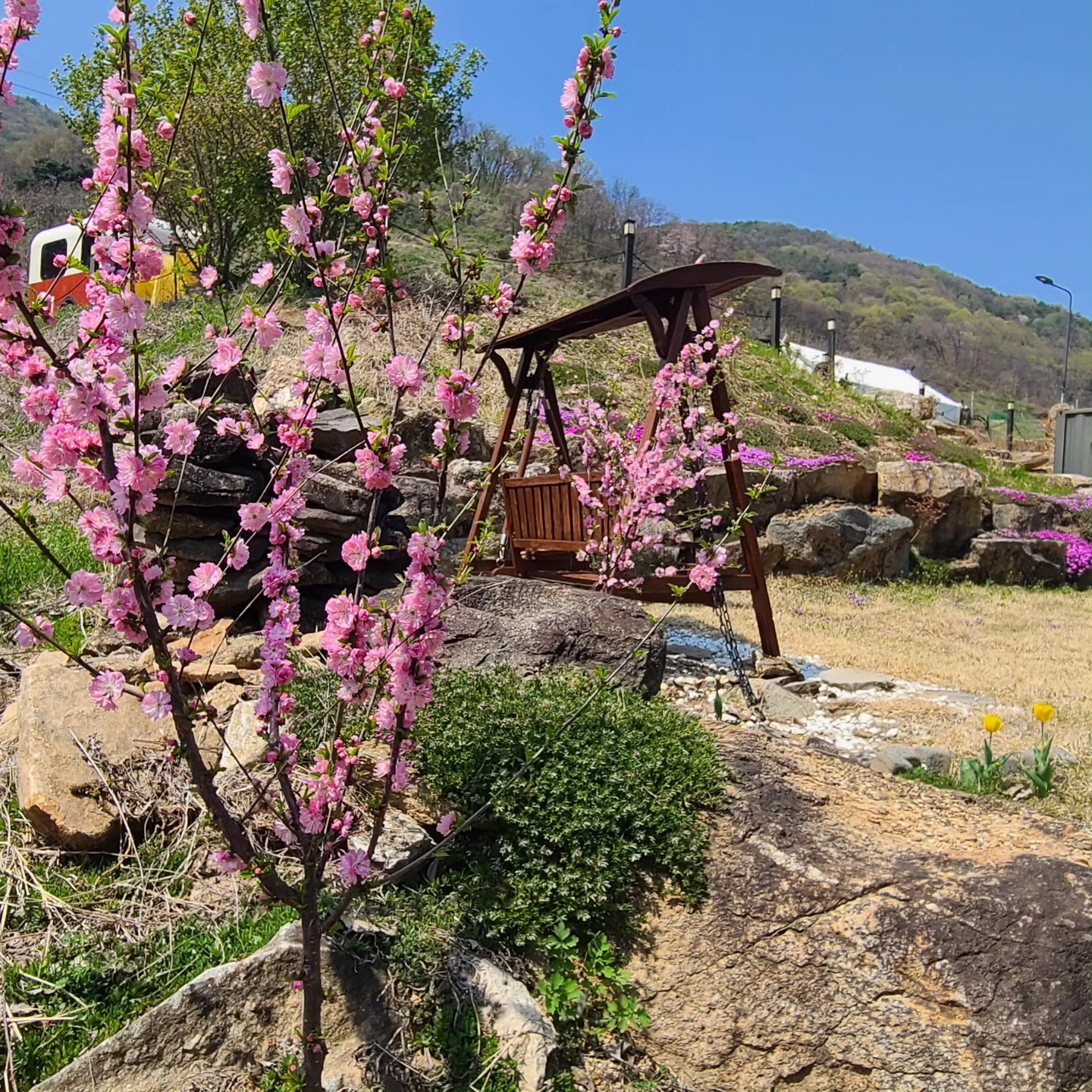사과꽃향기