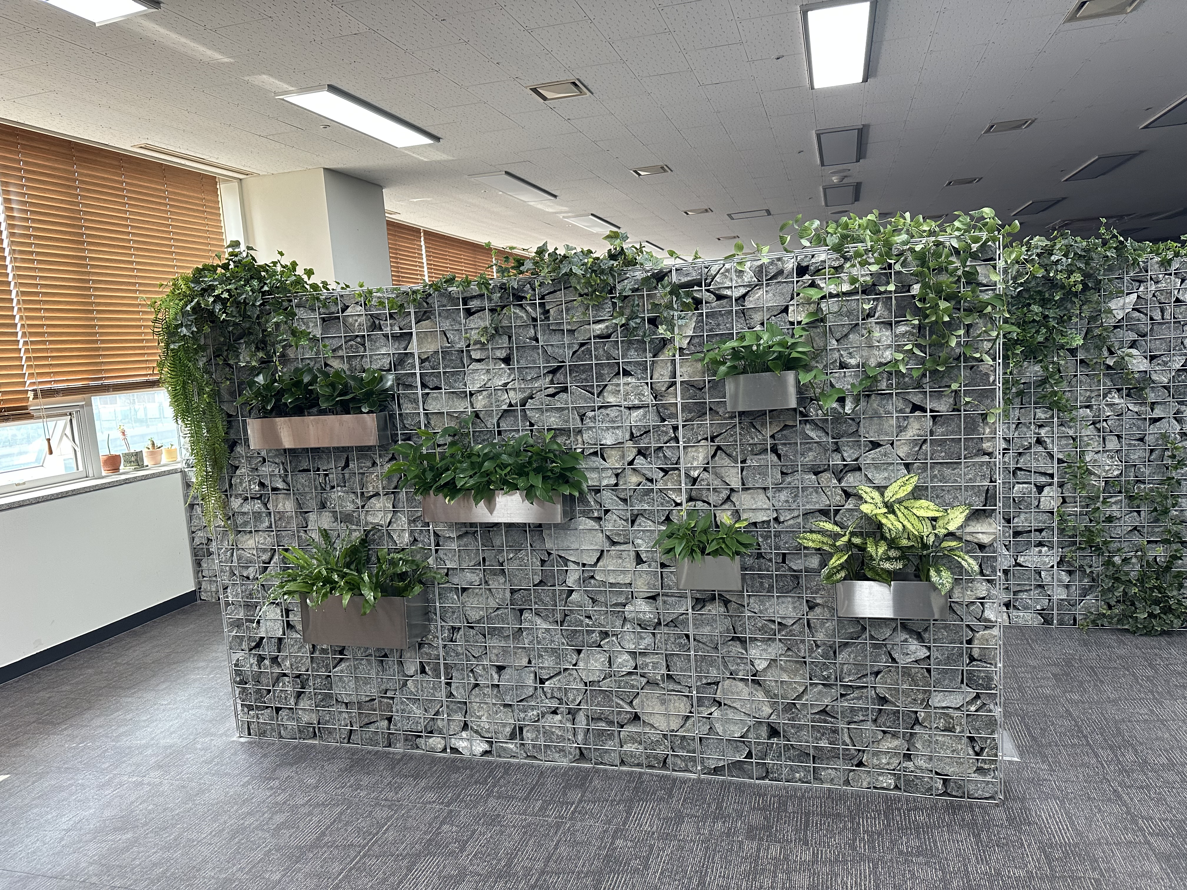 그리너리 대표 이미지