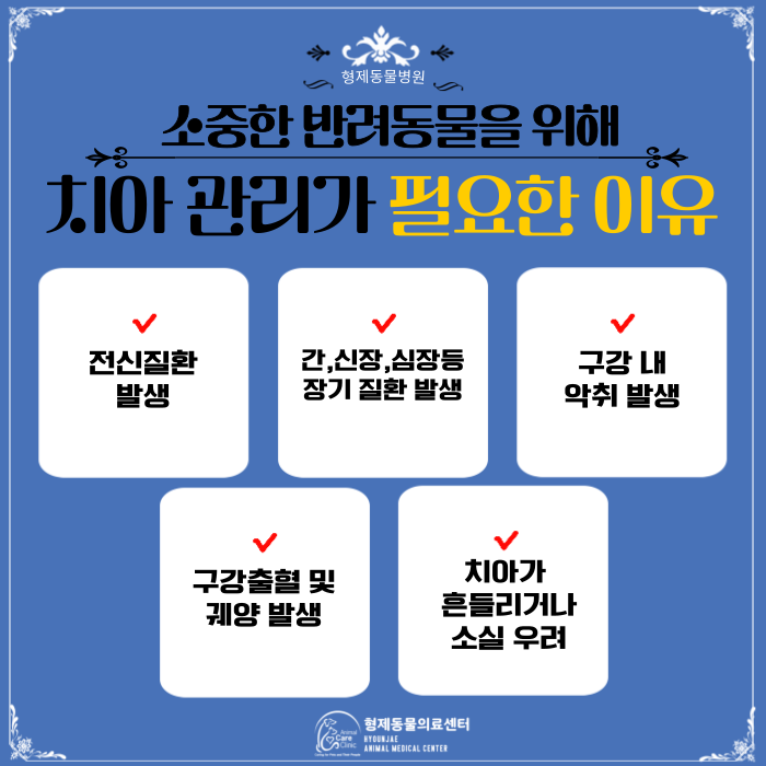 형제동물의료센터 대표 이미지