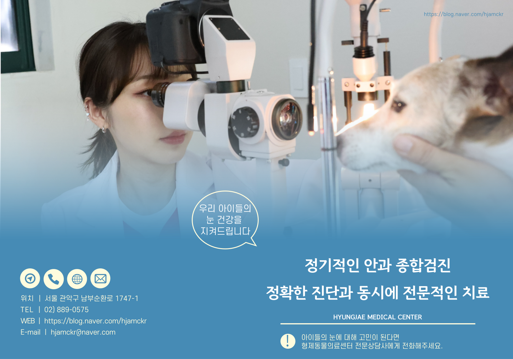 형제동물의료센터 대표 이미지