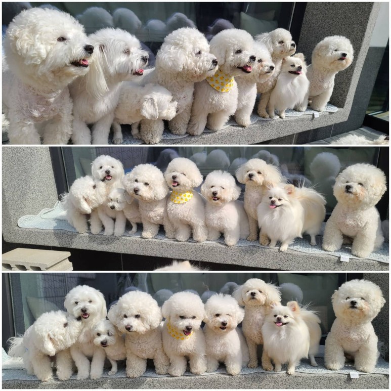 멍스테이션
