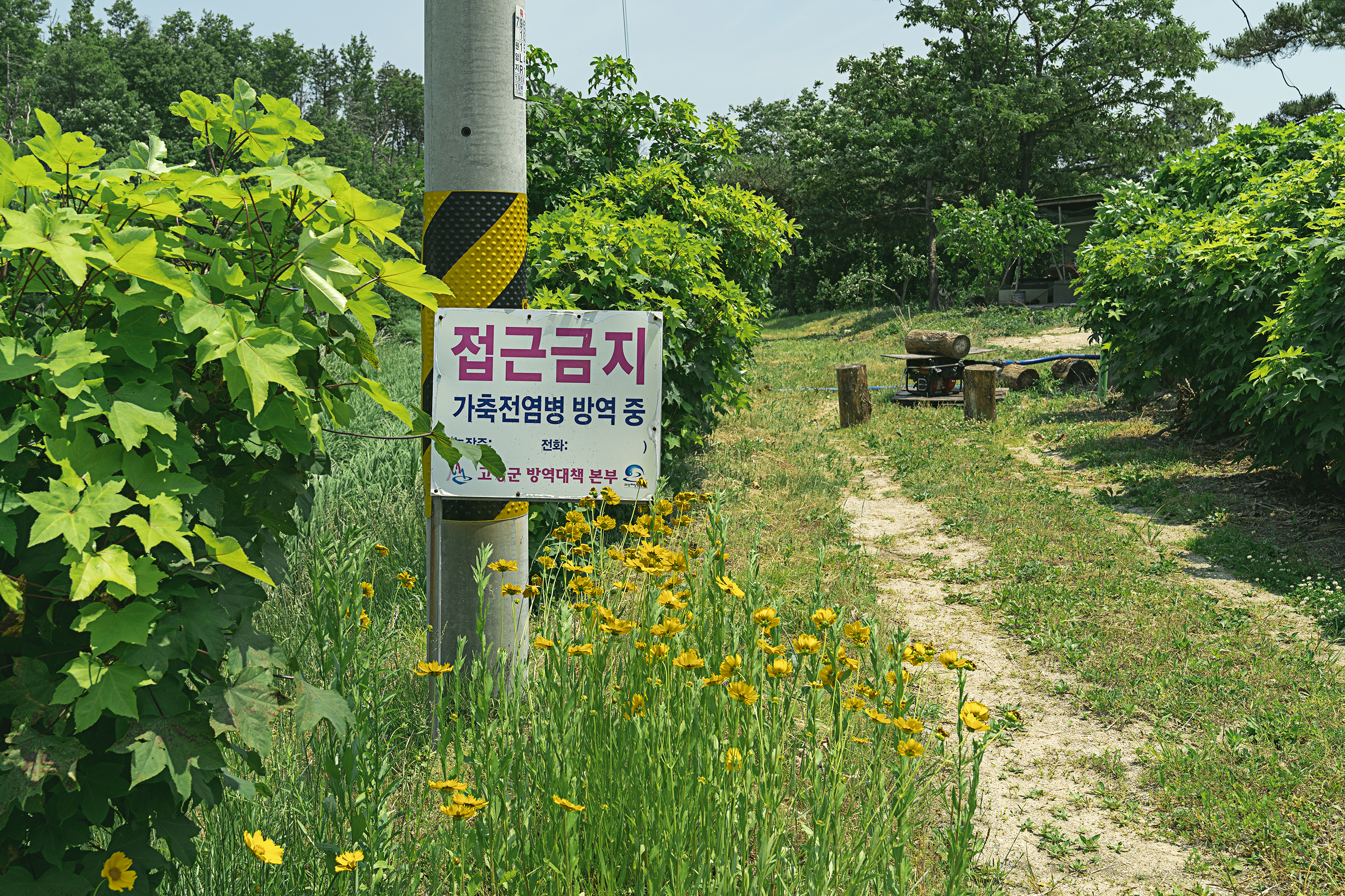 가조오리숯불구이