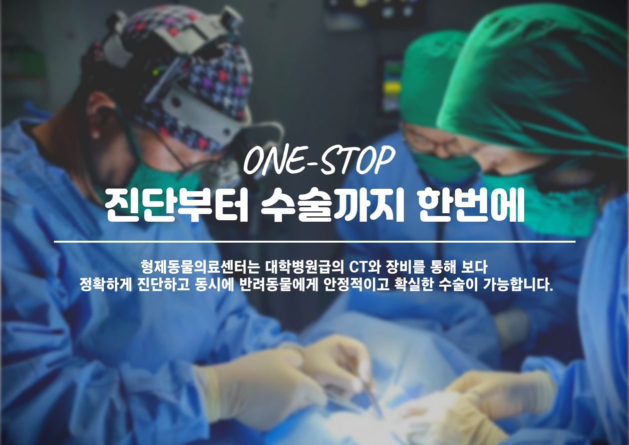 형제동물의료센터 대표 이미지