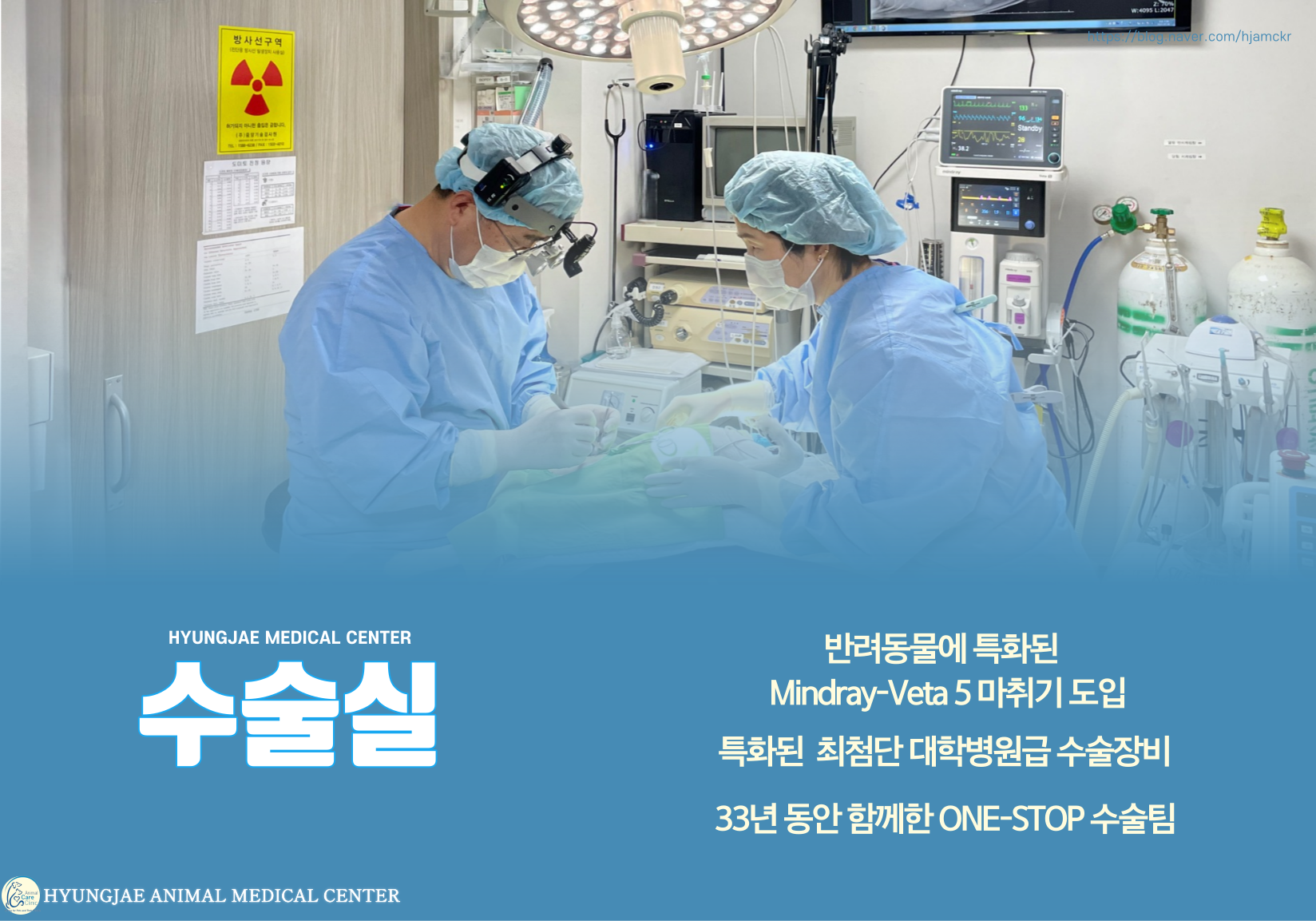형제동물의료센터 대표 이미지