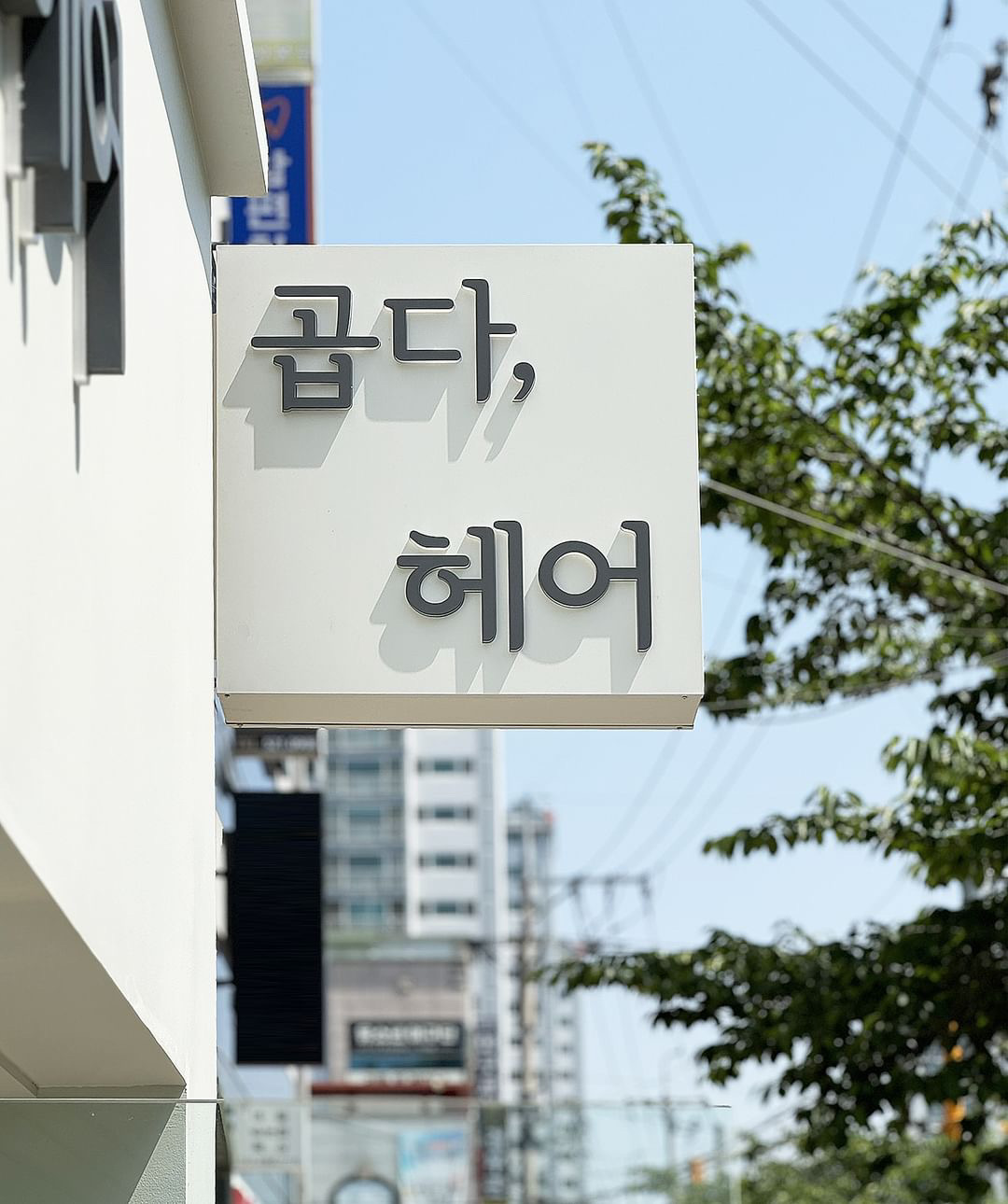 곱다,헤어