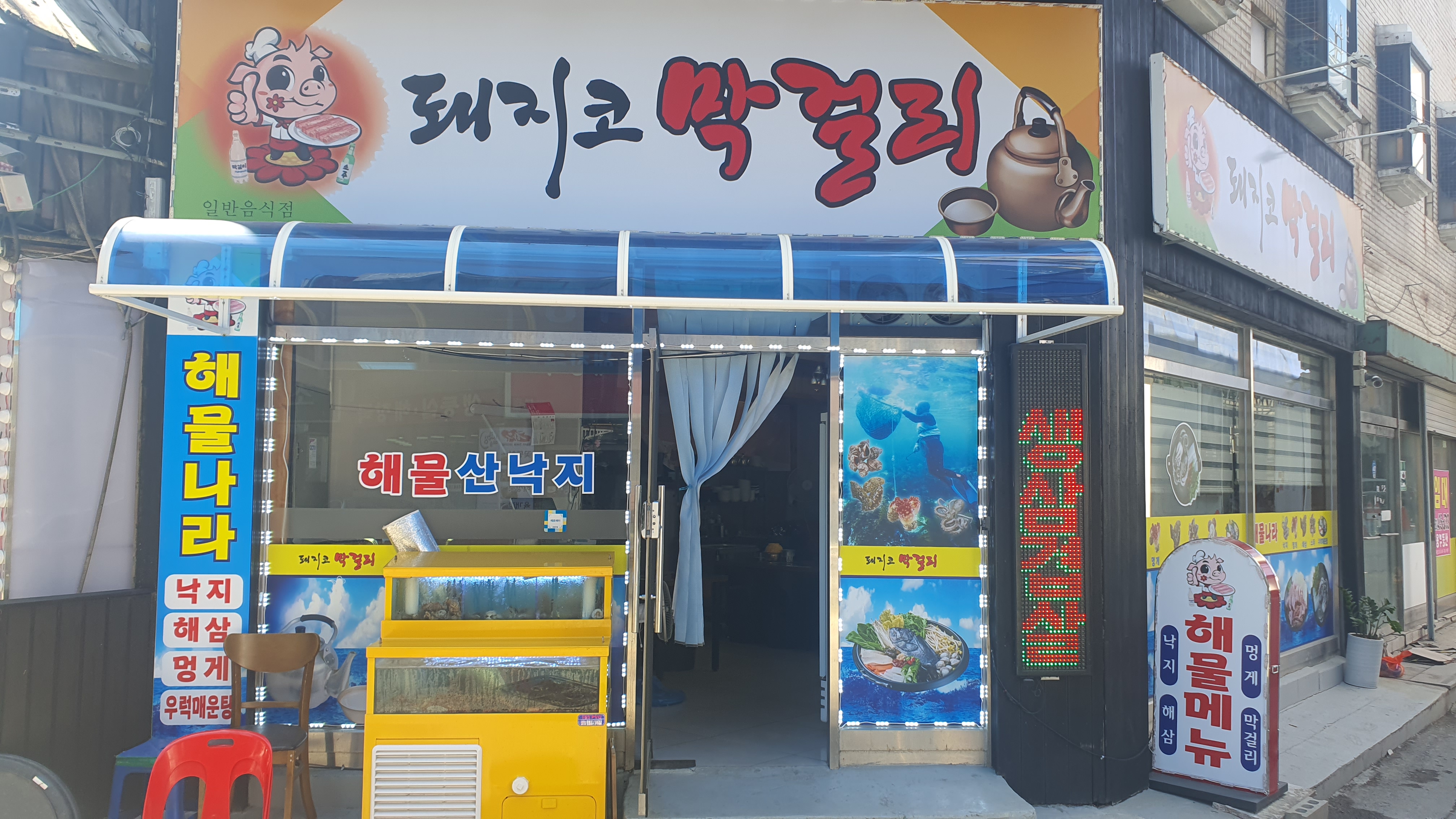 돼지코막걸리[해물나라]