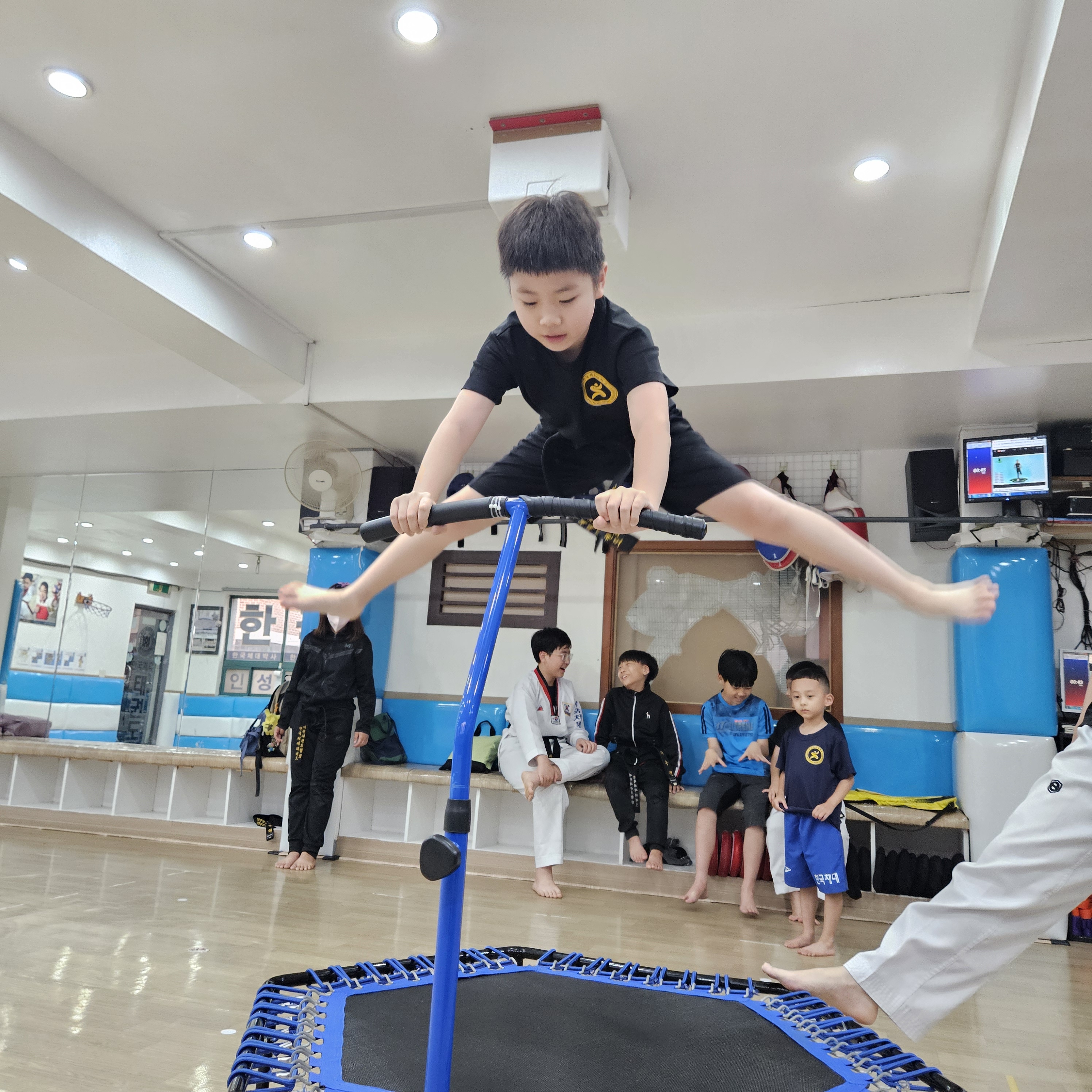 한국체대태권도