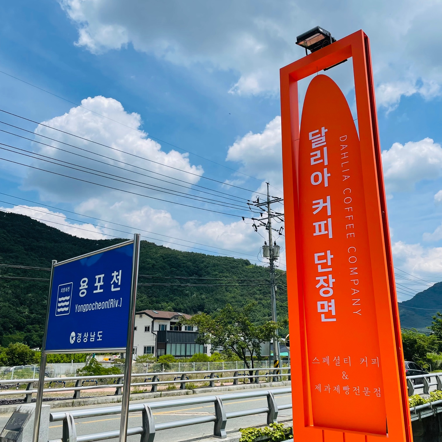 달리아커피 단장면