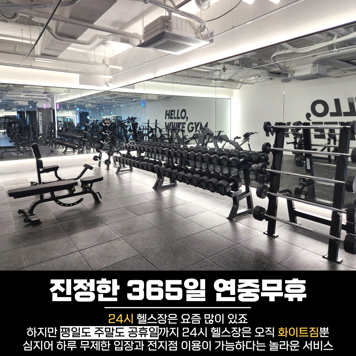 화이트짐 양재점