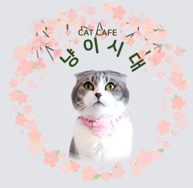 냥이시대