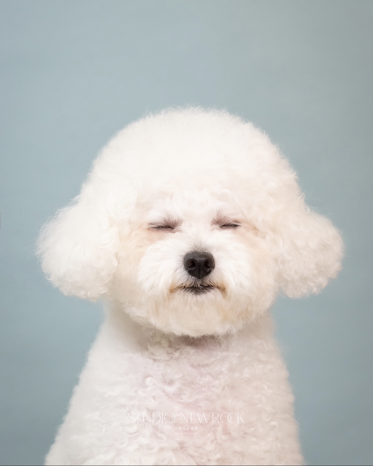 스튜디오 새록 대표 이미지