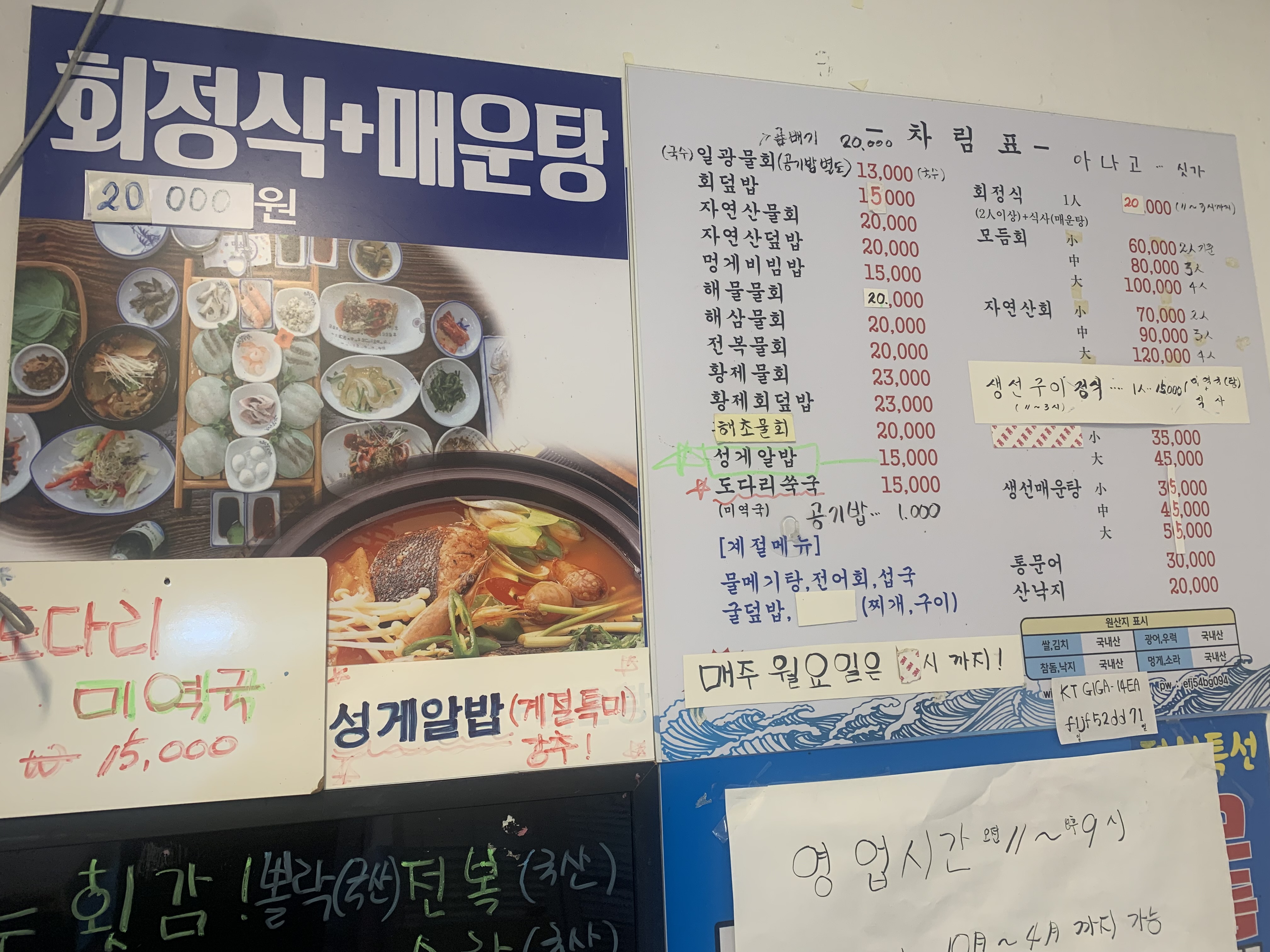 일광물회