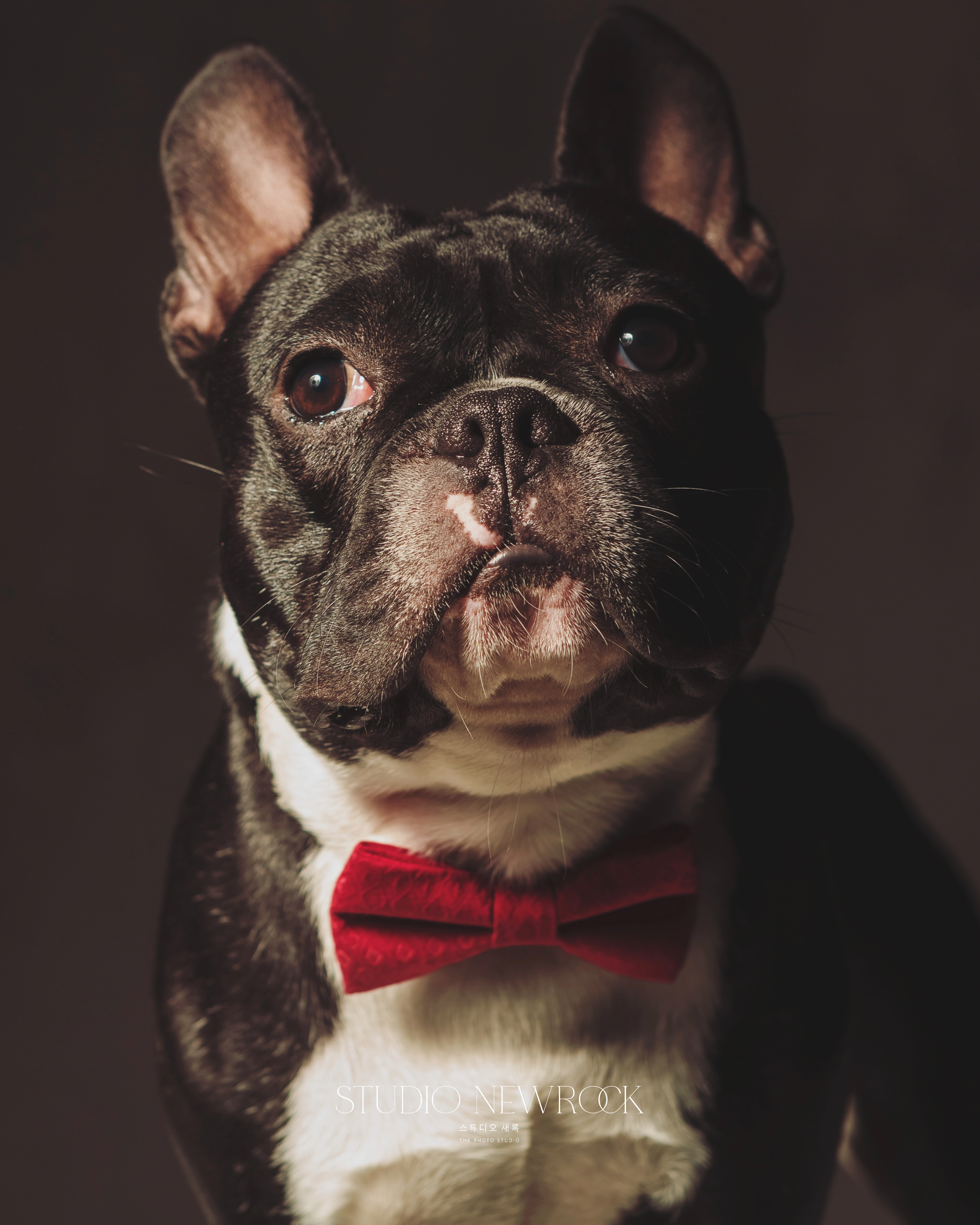 스튜디오 새록 대표 이미지