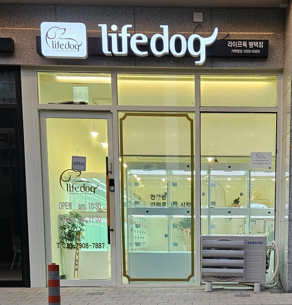 라이프독 평택점 24시 강아지분양 고양이분양