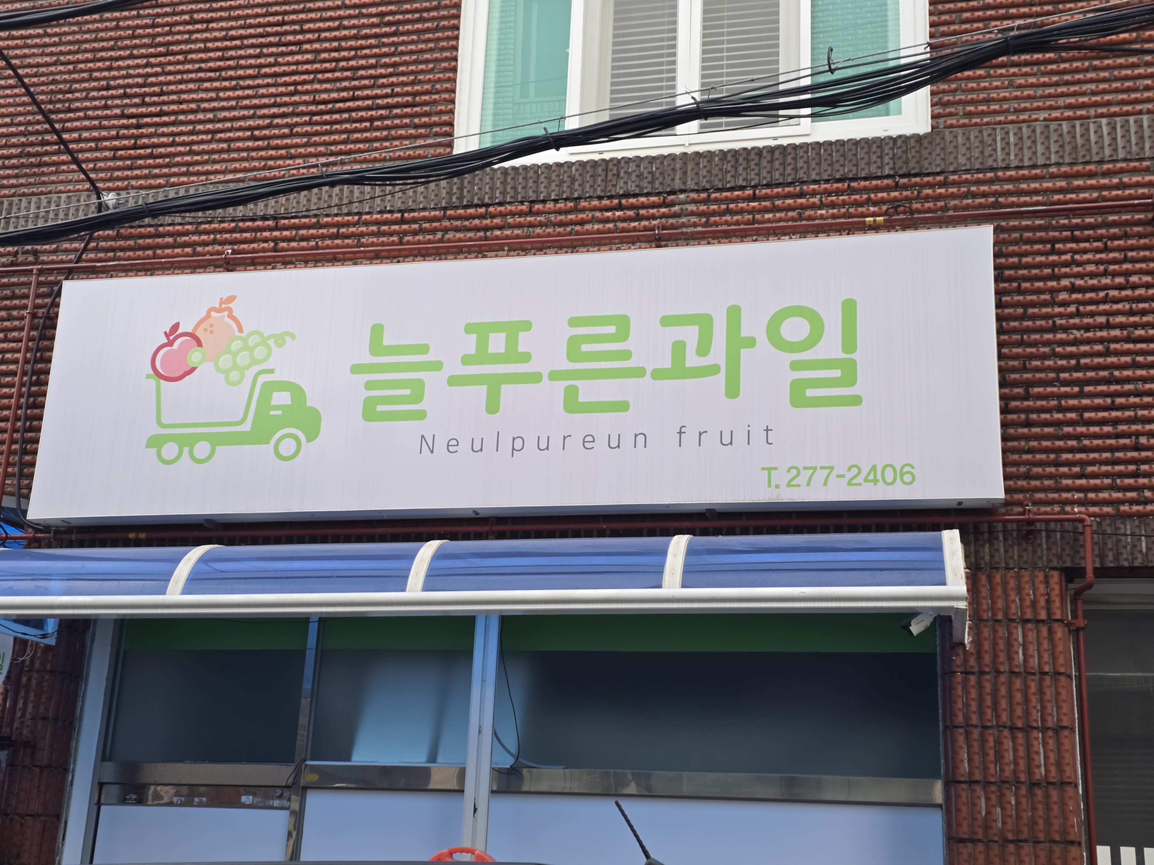 늘푸른과일