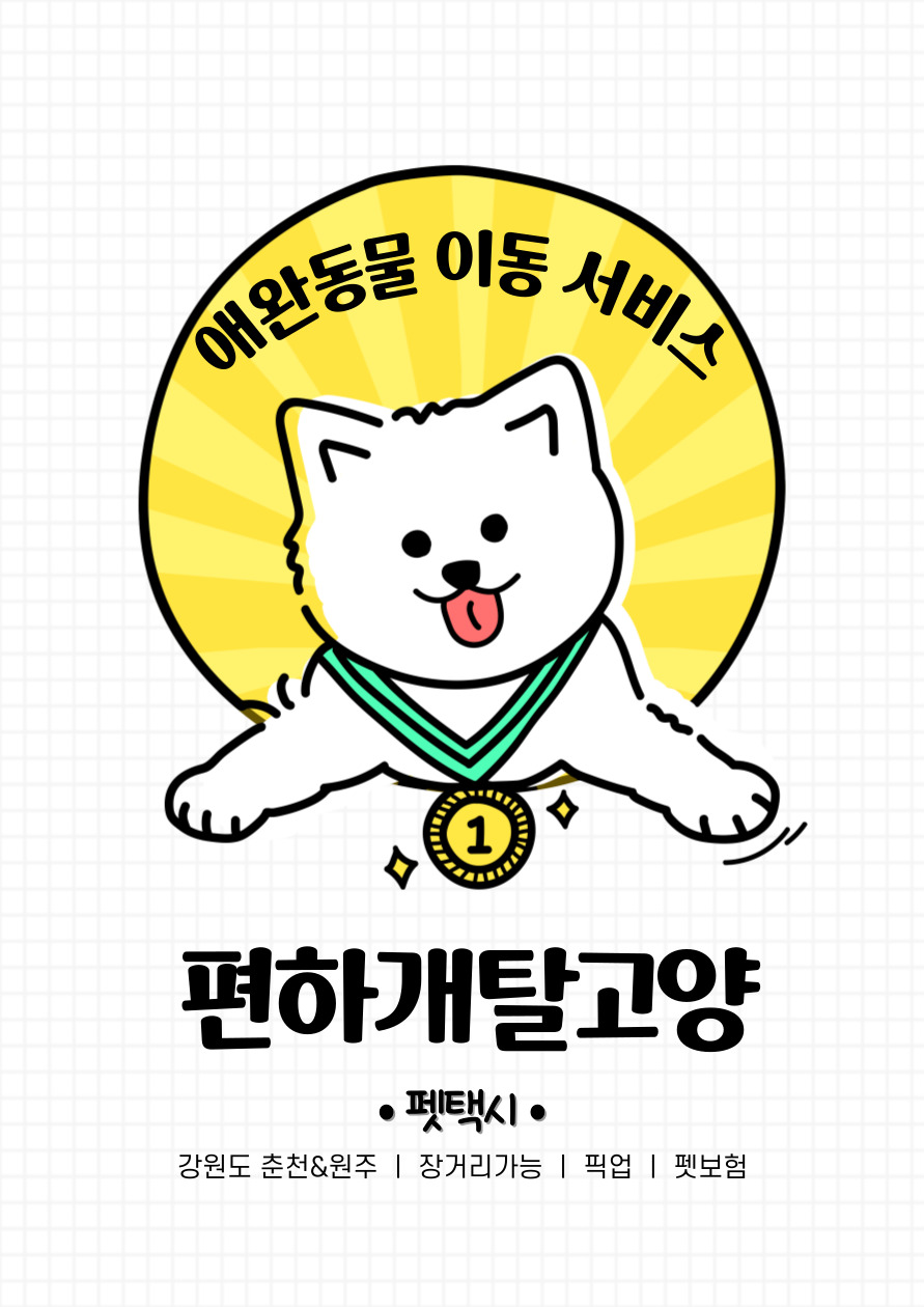 편하개탈고양 대표 이미지