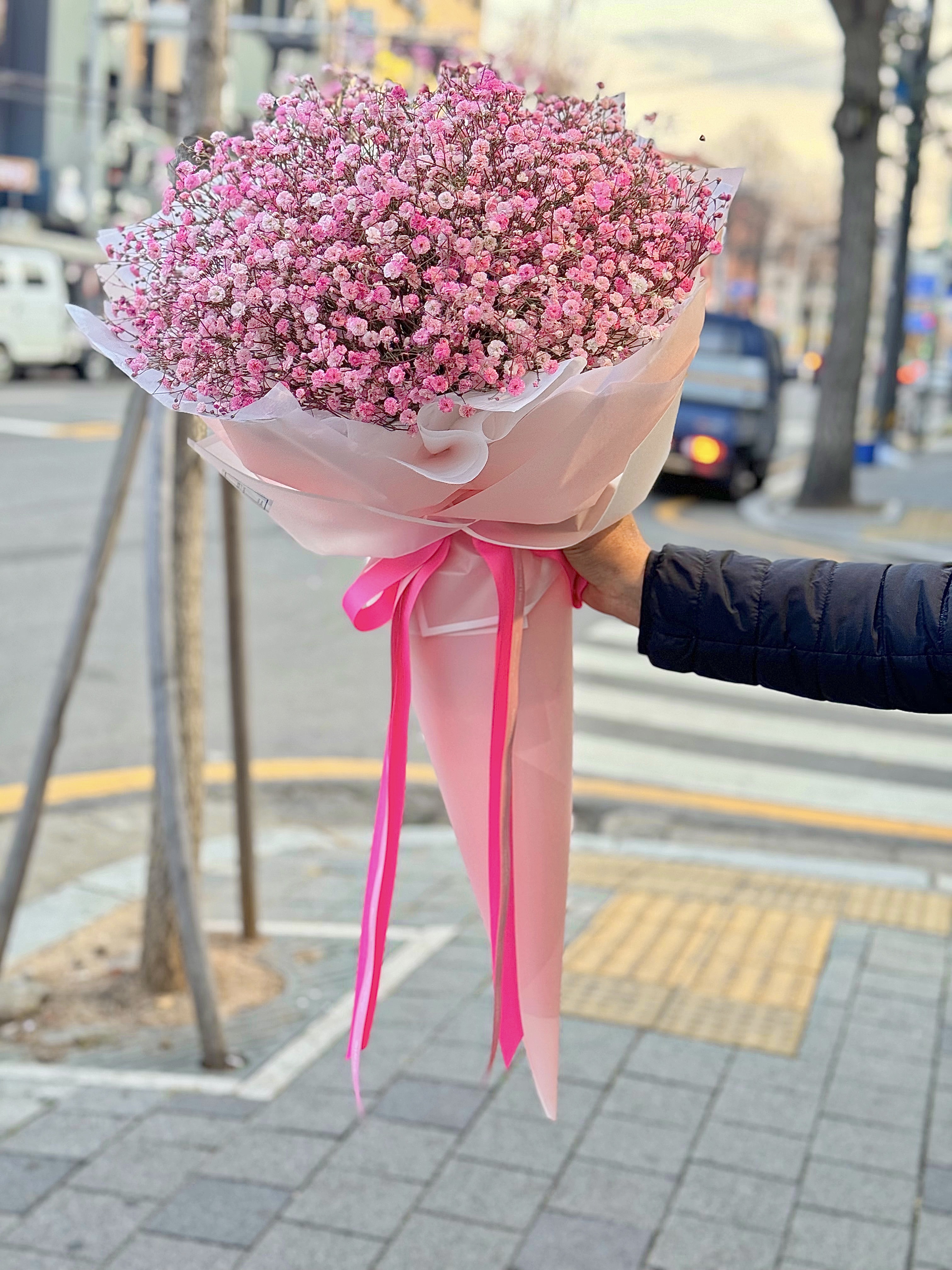 코지피다