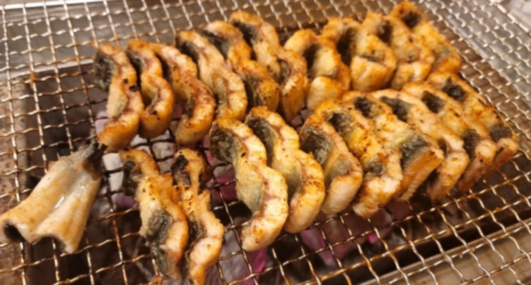 영산강숯불민물장어