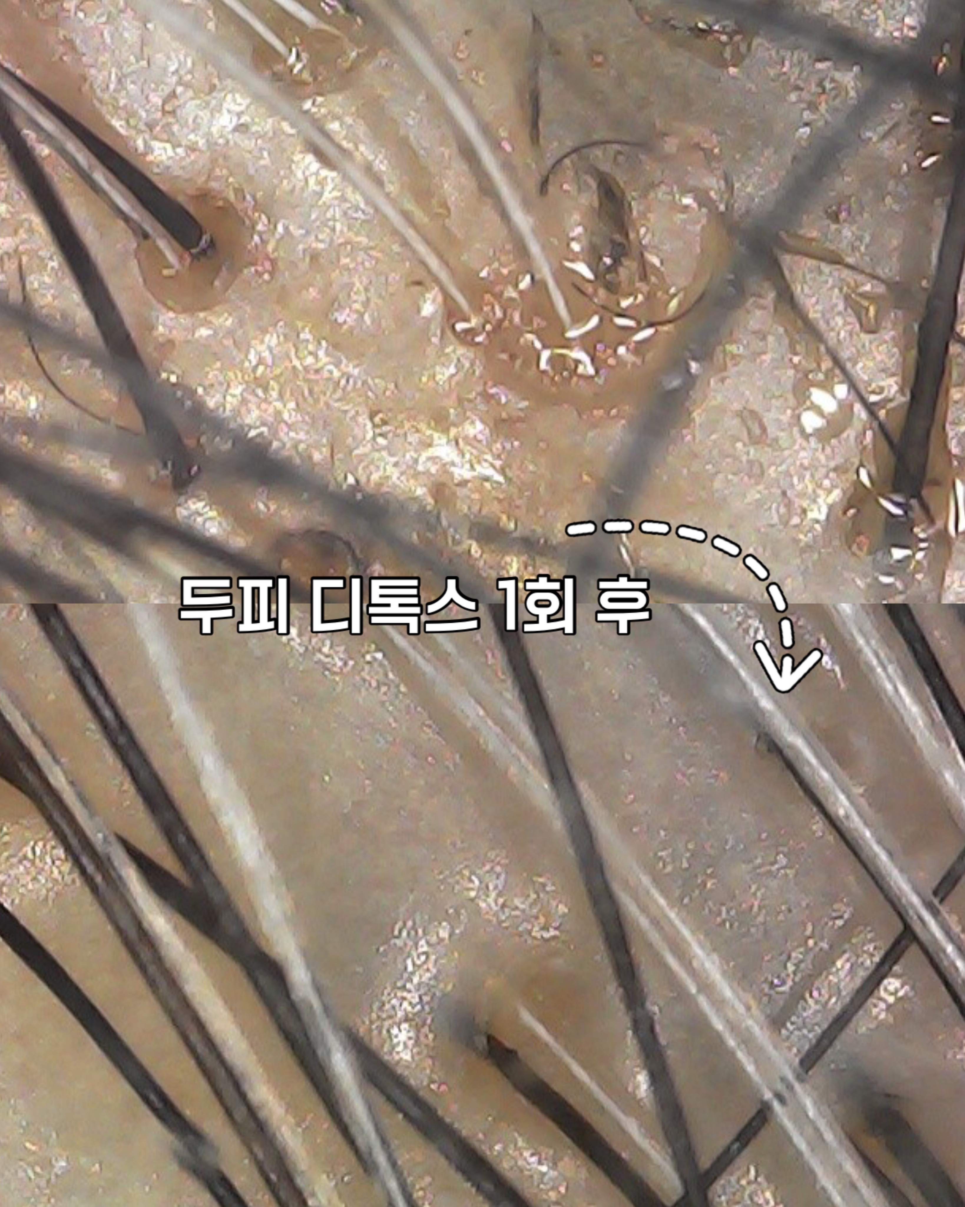 올가드림뷰티 효자더샵점