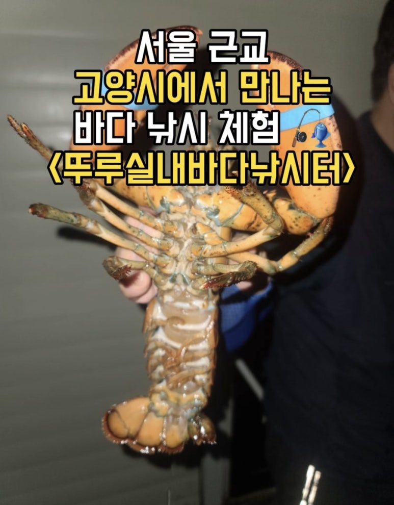 뚜루실내바다낚시터 일산본점