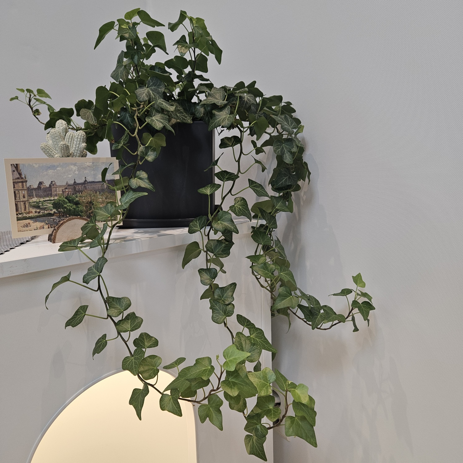 편안한 심리상담소 대표 이미지