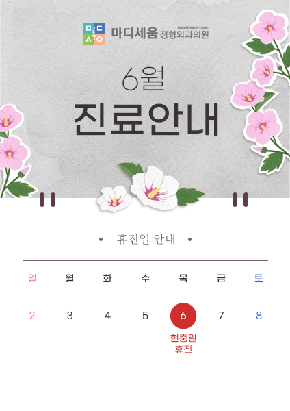 마디세움정형외과의원