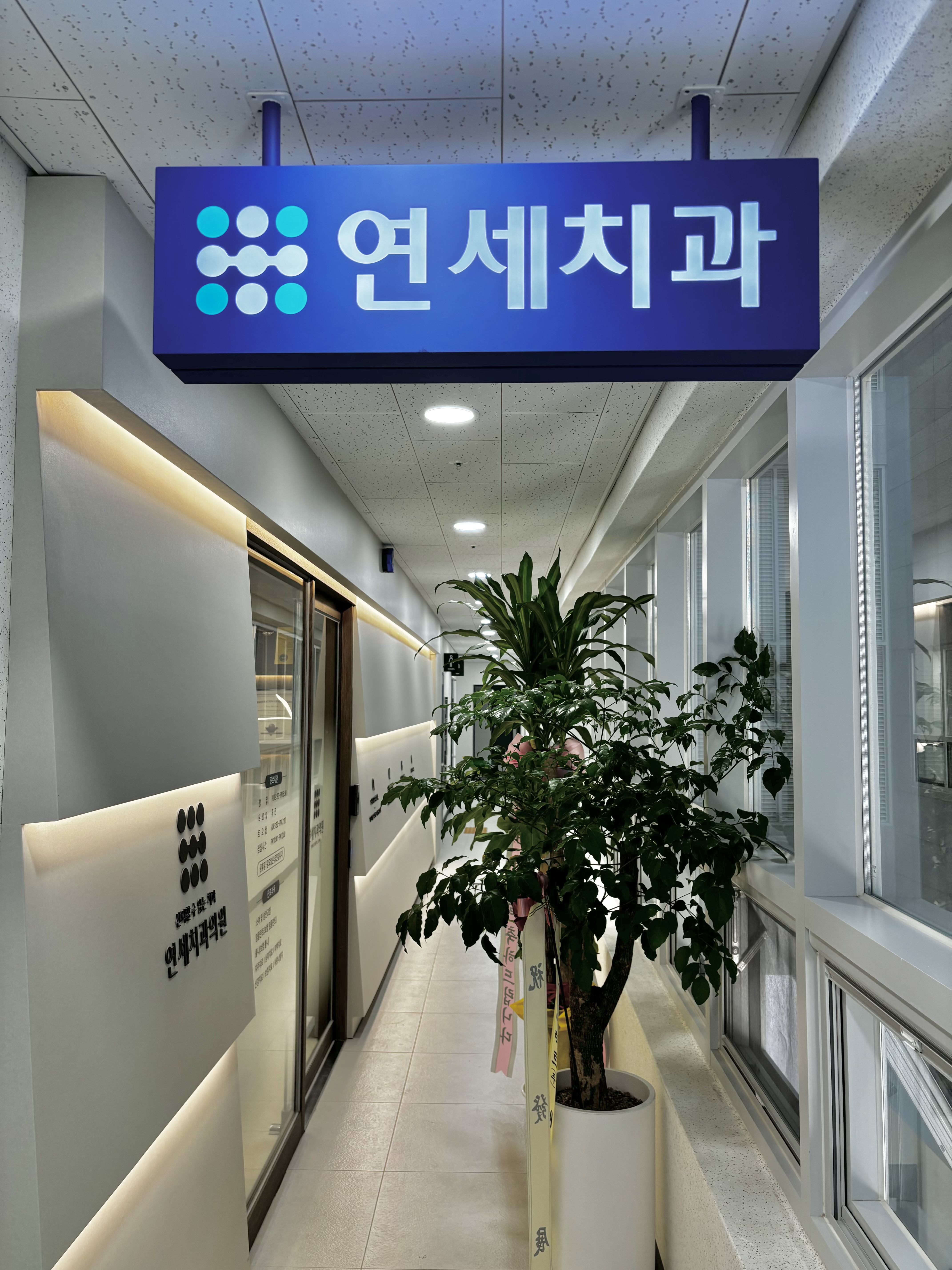 연세치과의원 대표 이미지